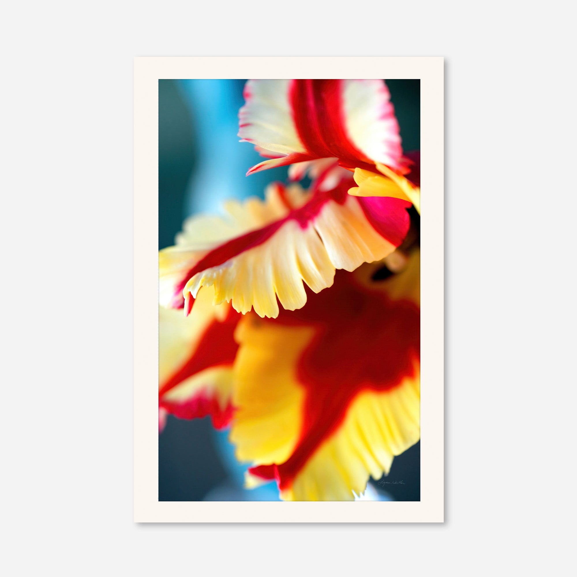 Flowers no. 5