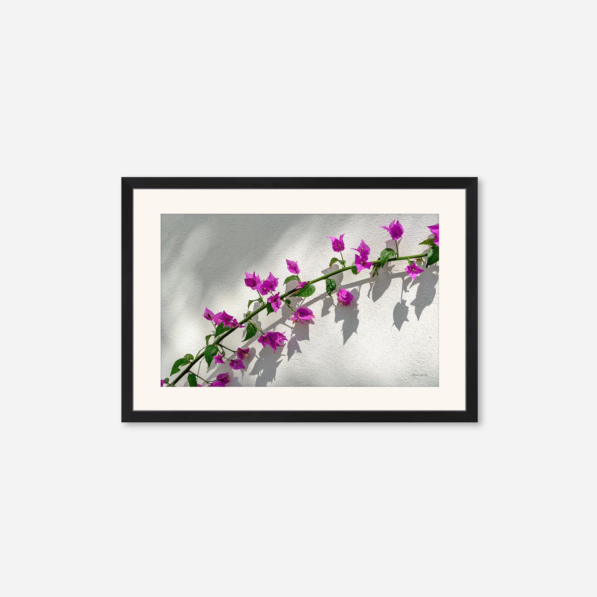 Flowers no. 7