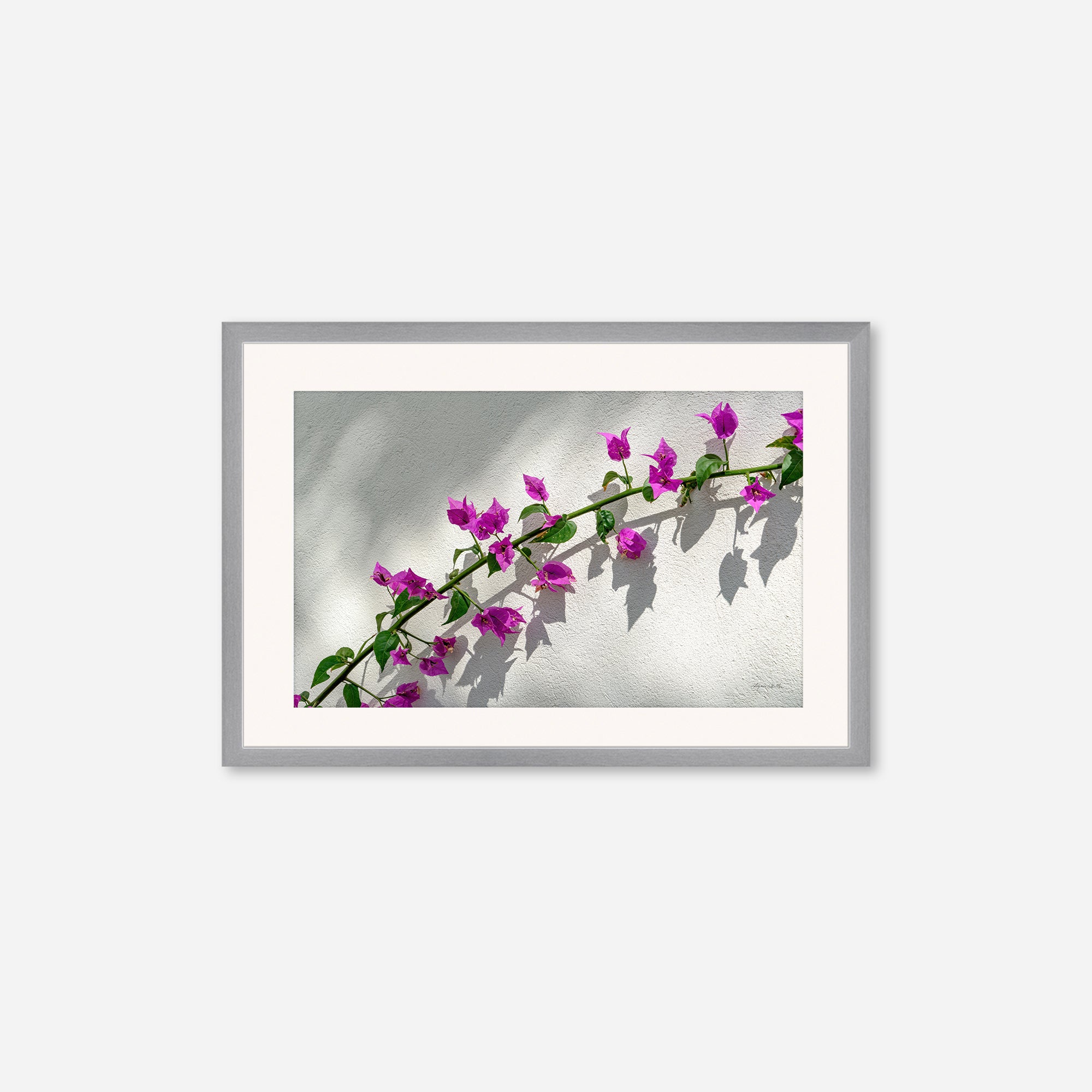 Flowers no. 7