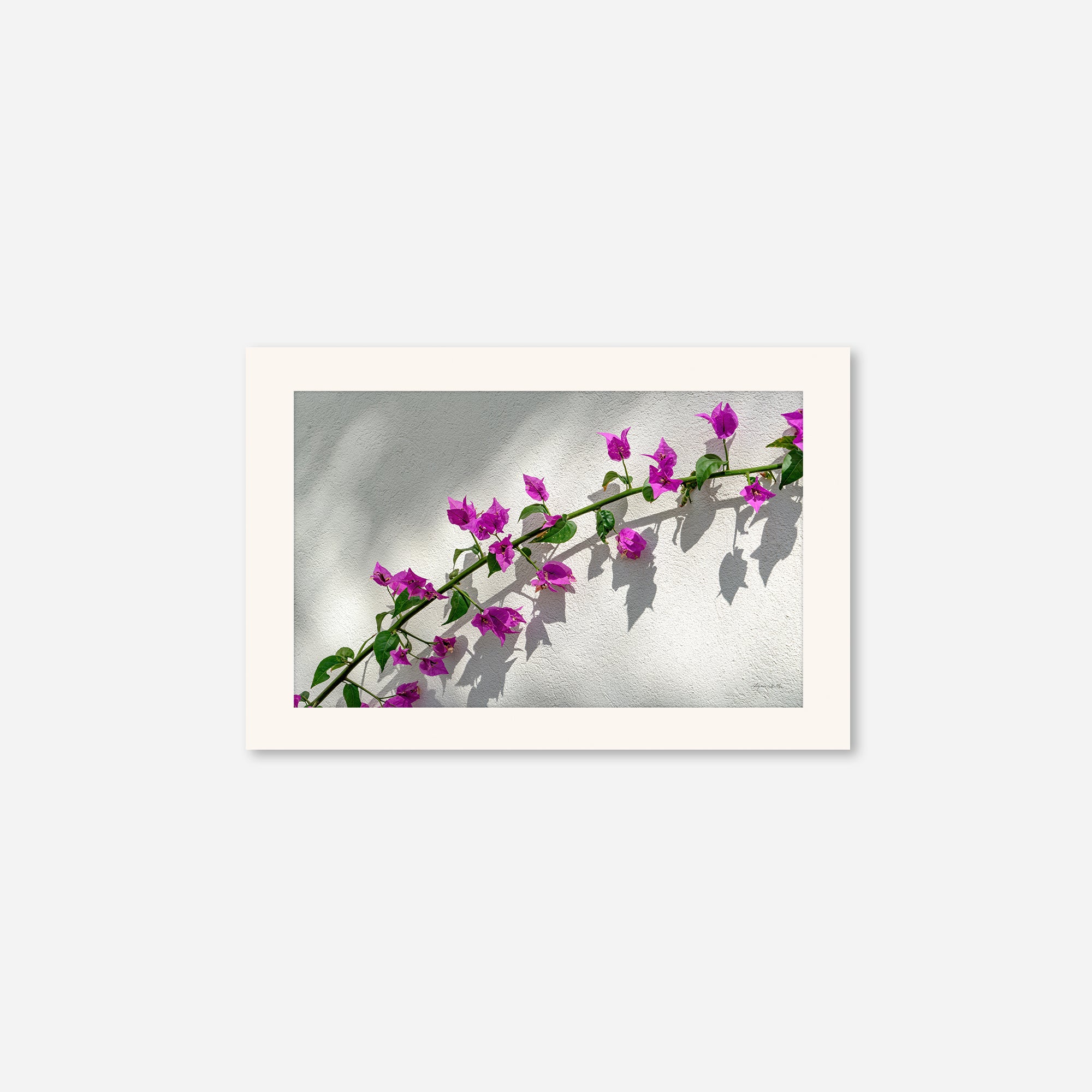 Flowers no. 7