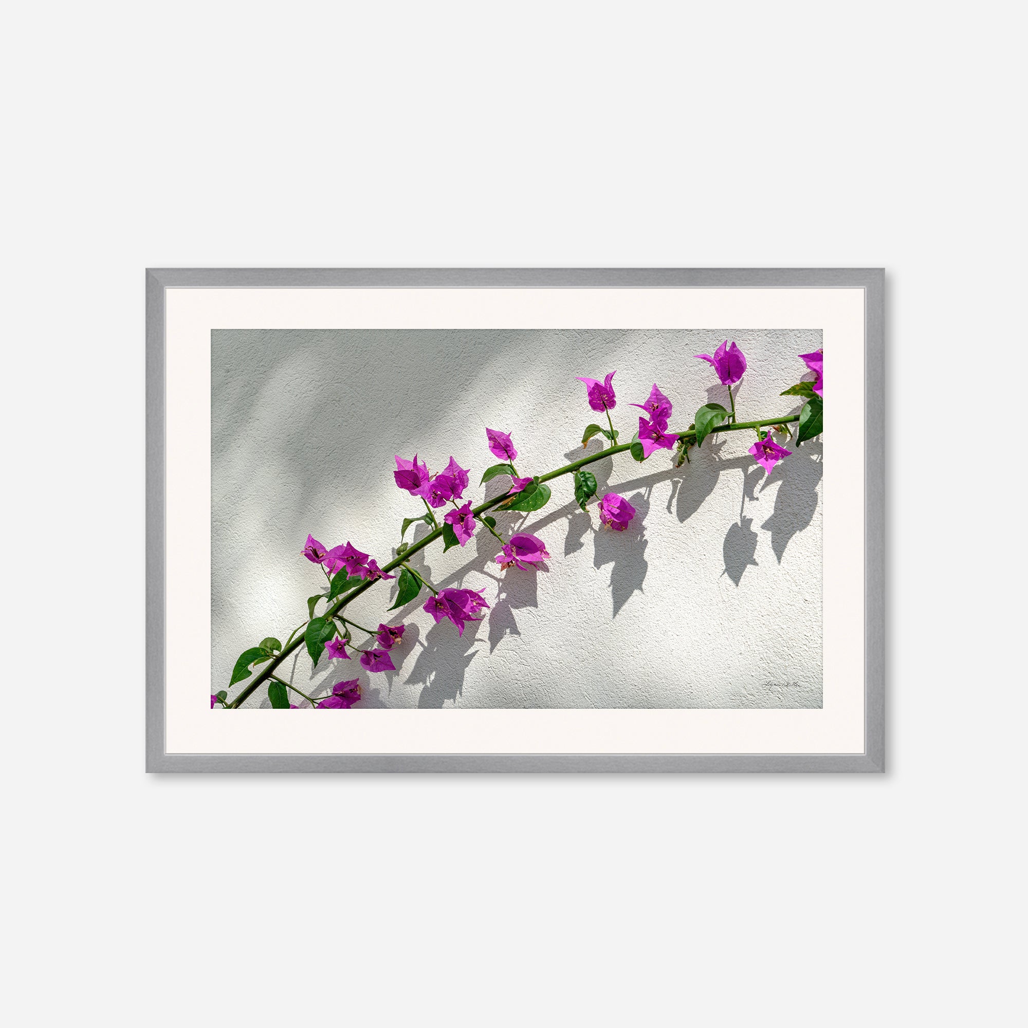 Flowers no. 7