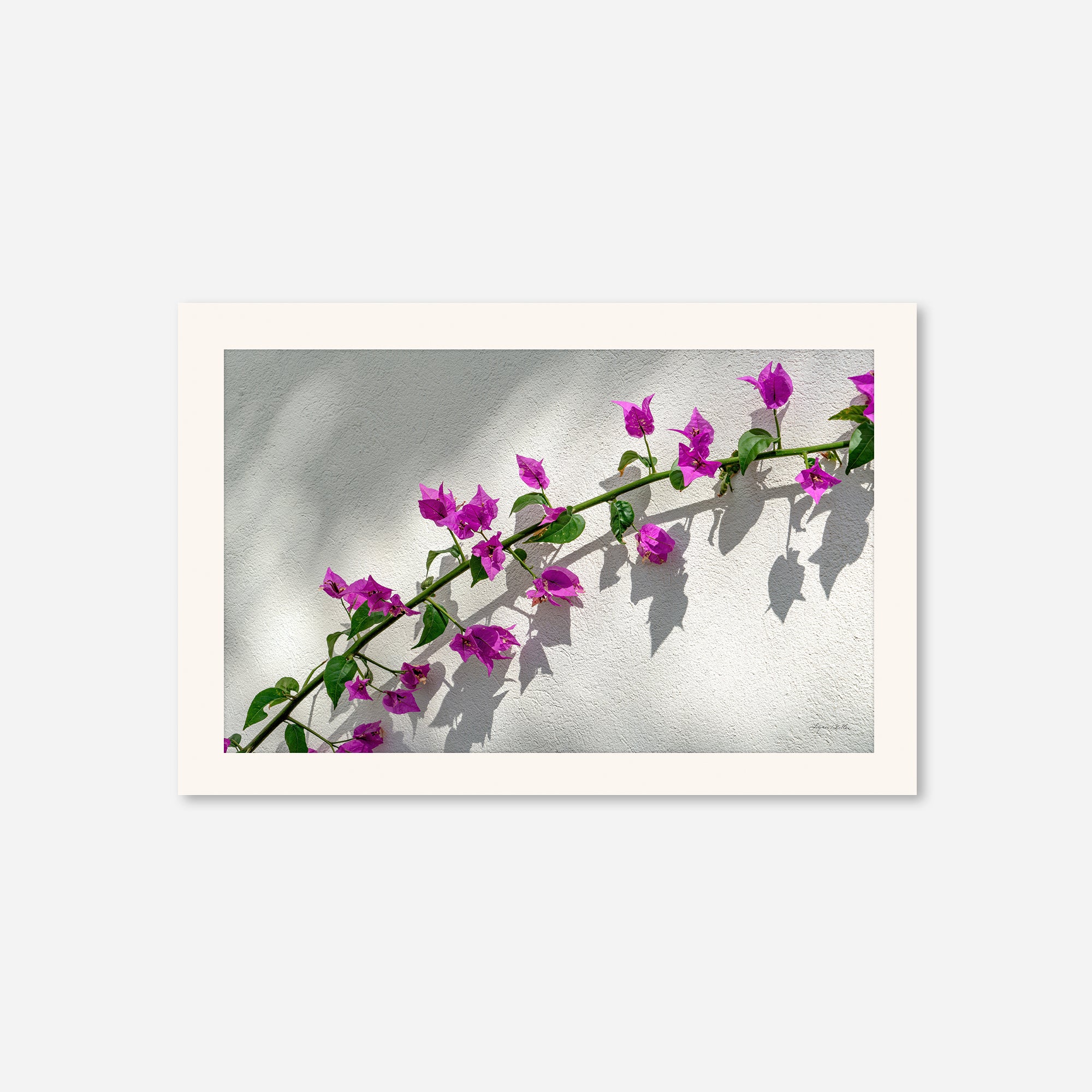 Flowers no. 7