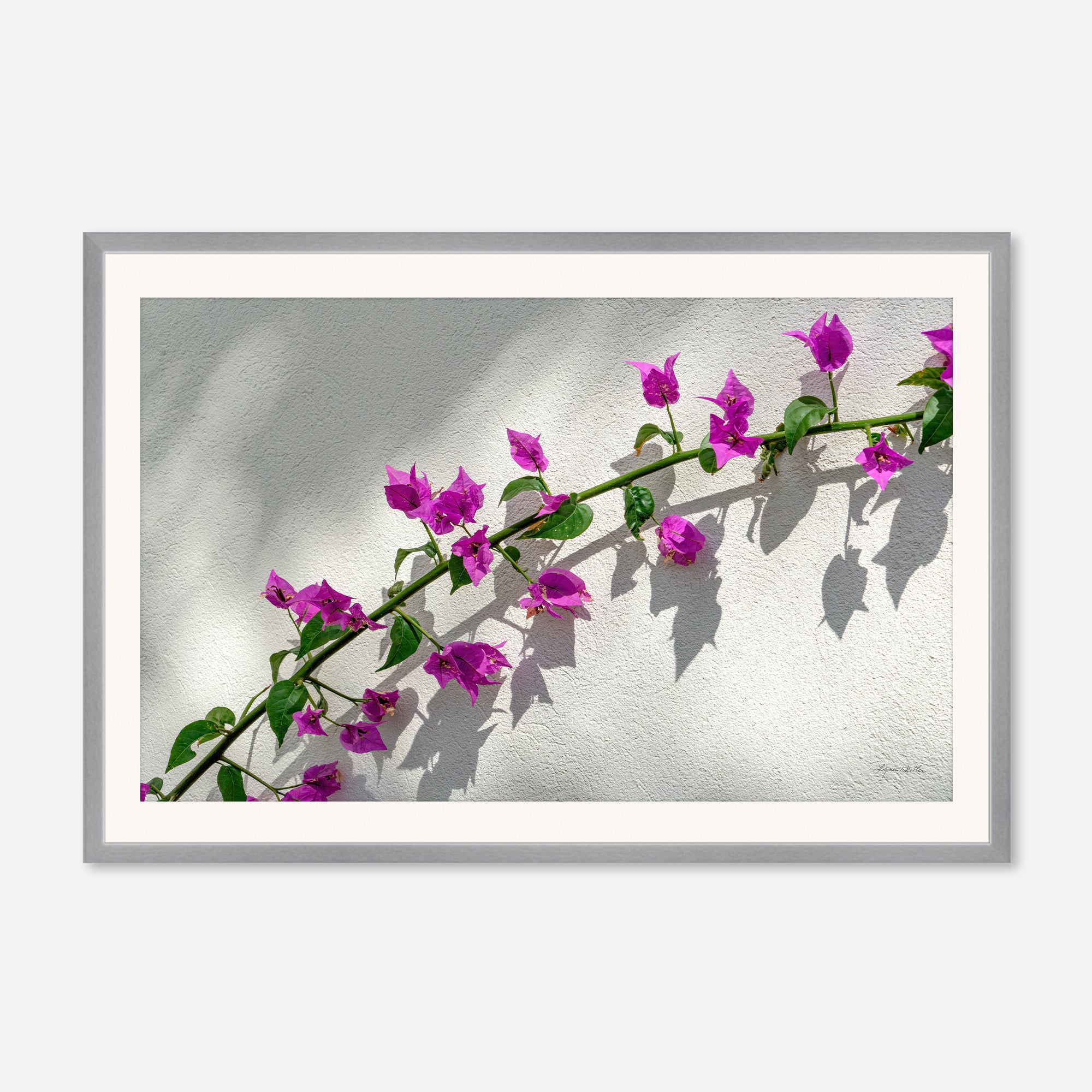 Flowers no. 7