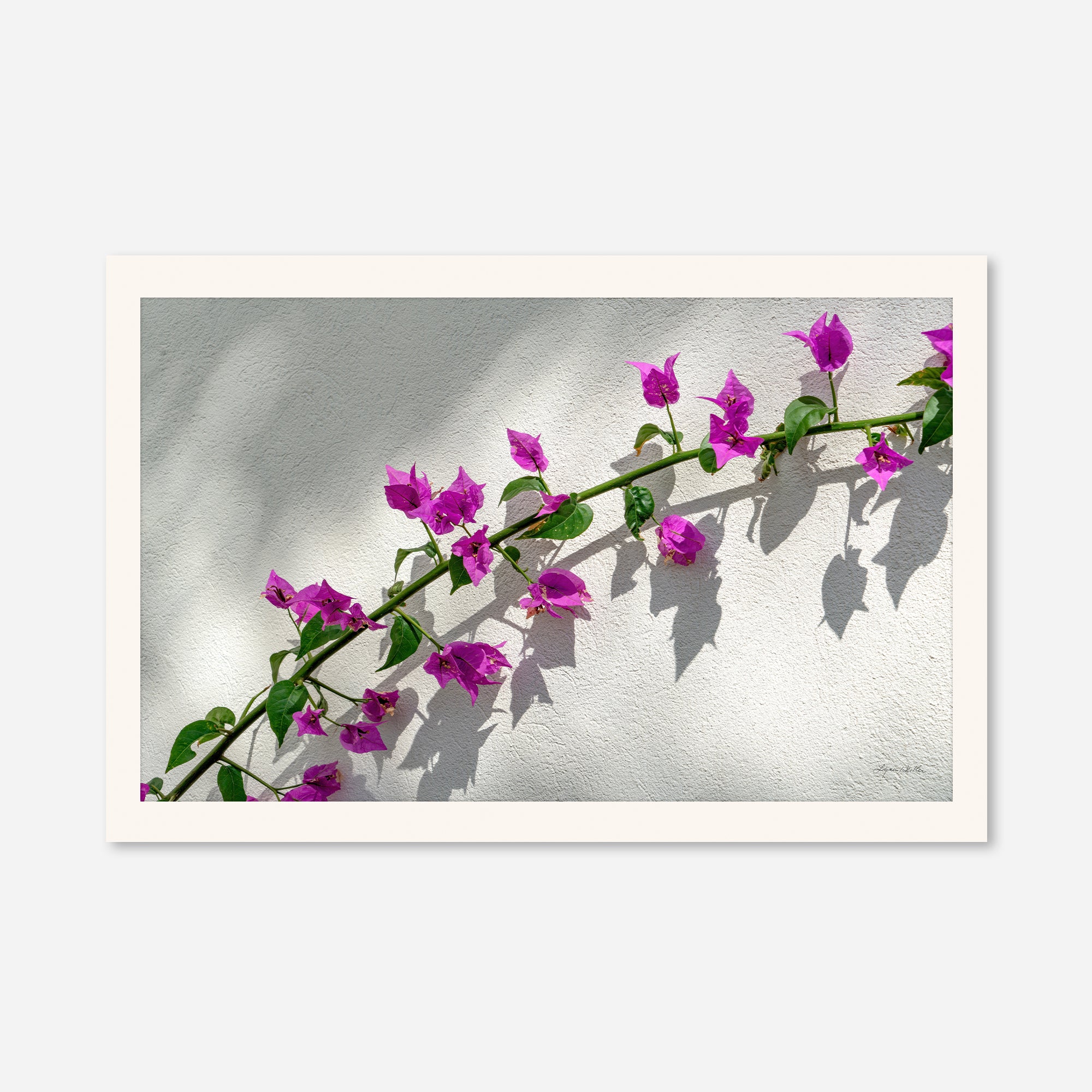 Flowers no. 7