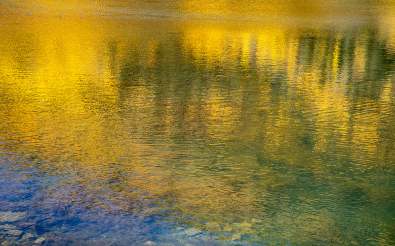 Golden Musings no. 1