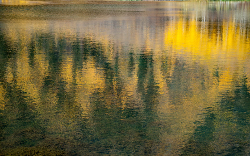 Golden Musings no. 3