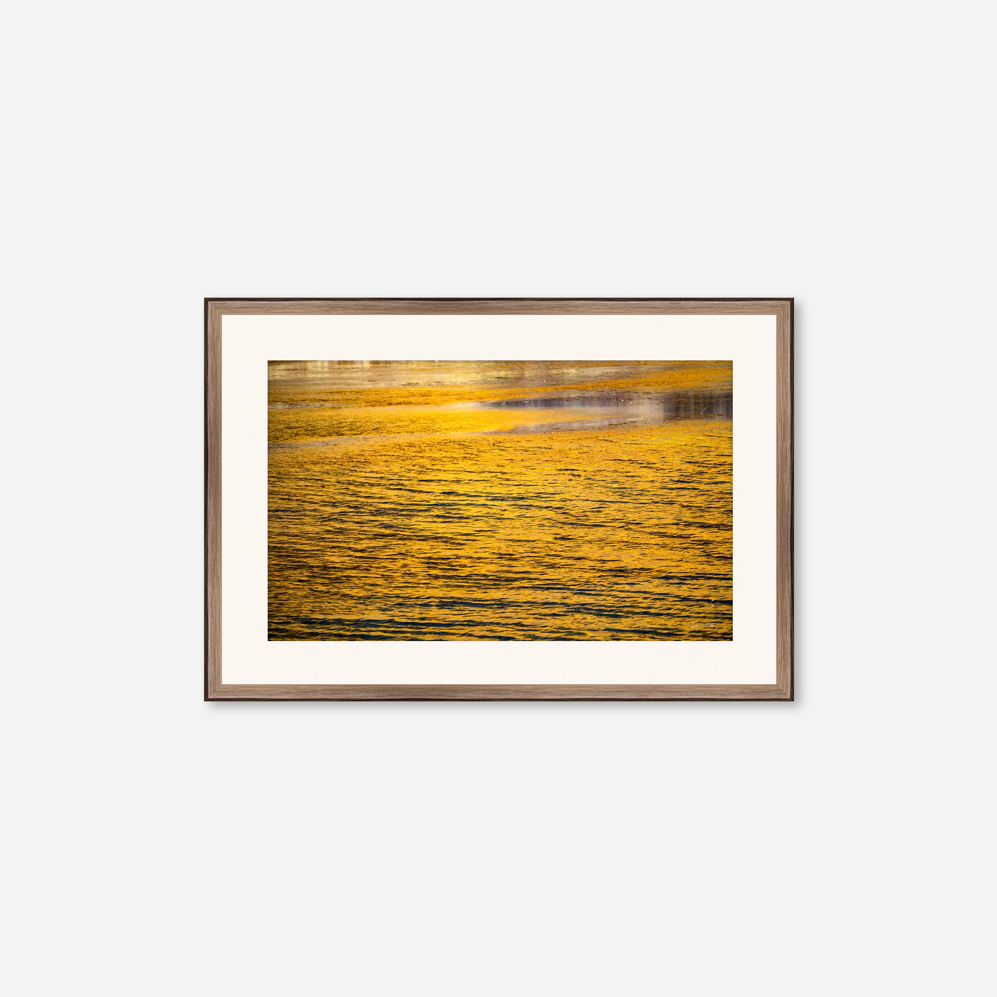 Golden Musings no. 2