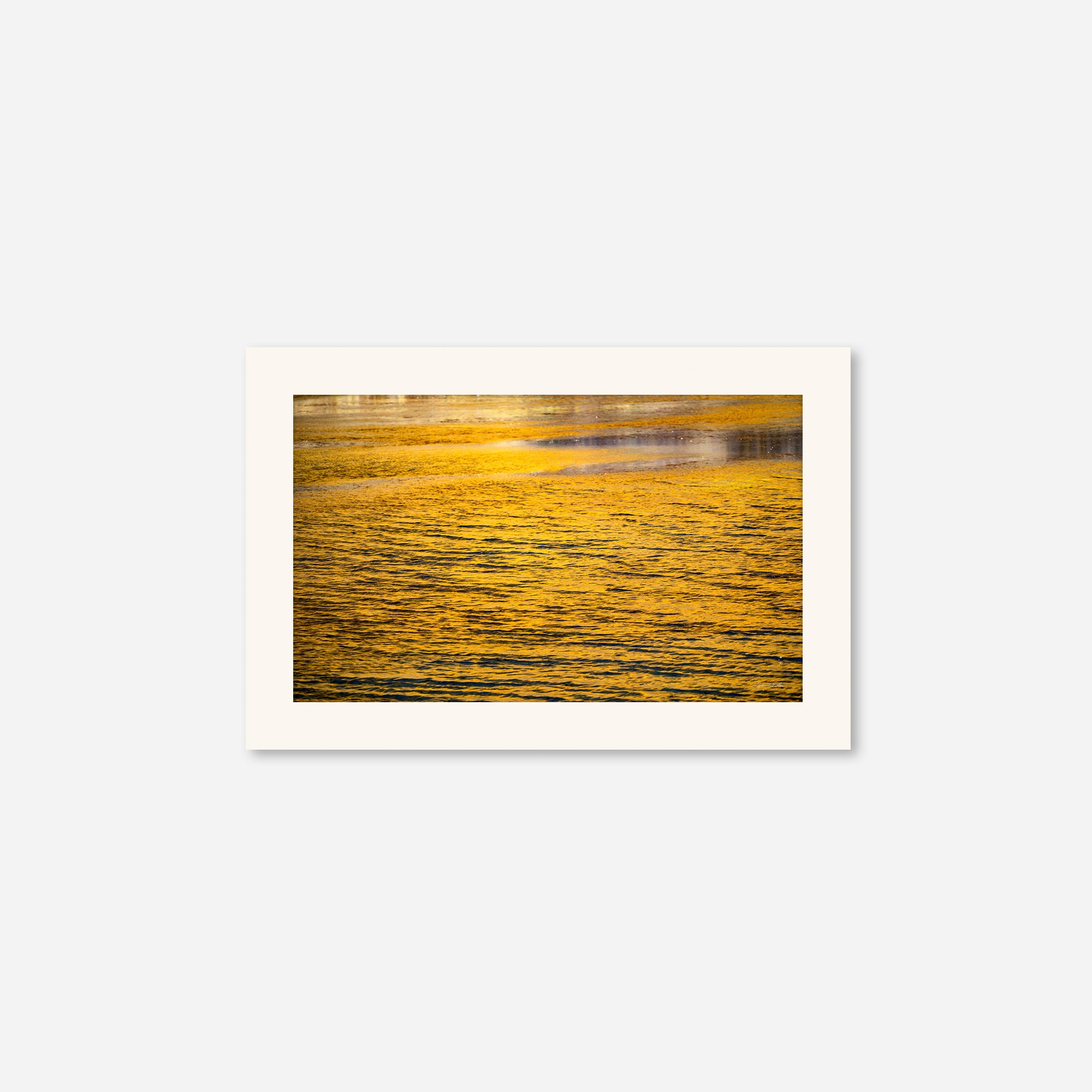 Golden Musings no. 2