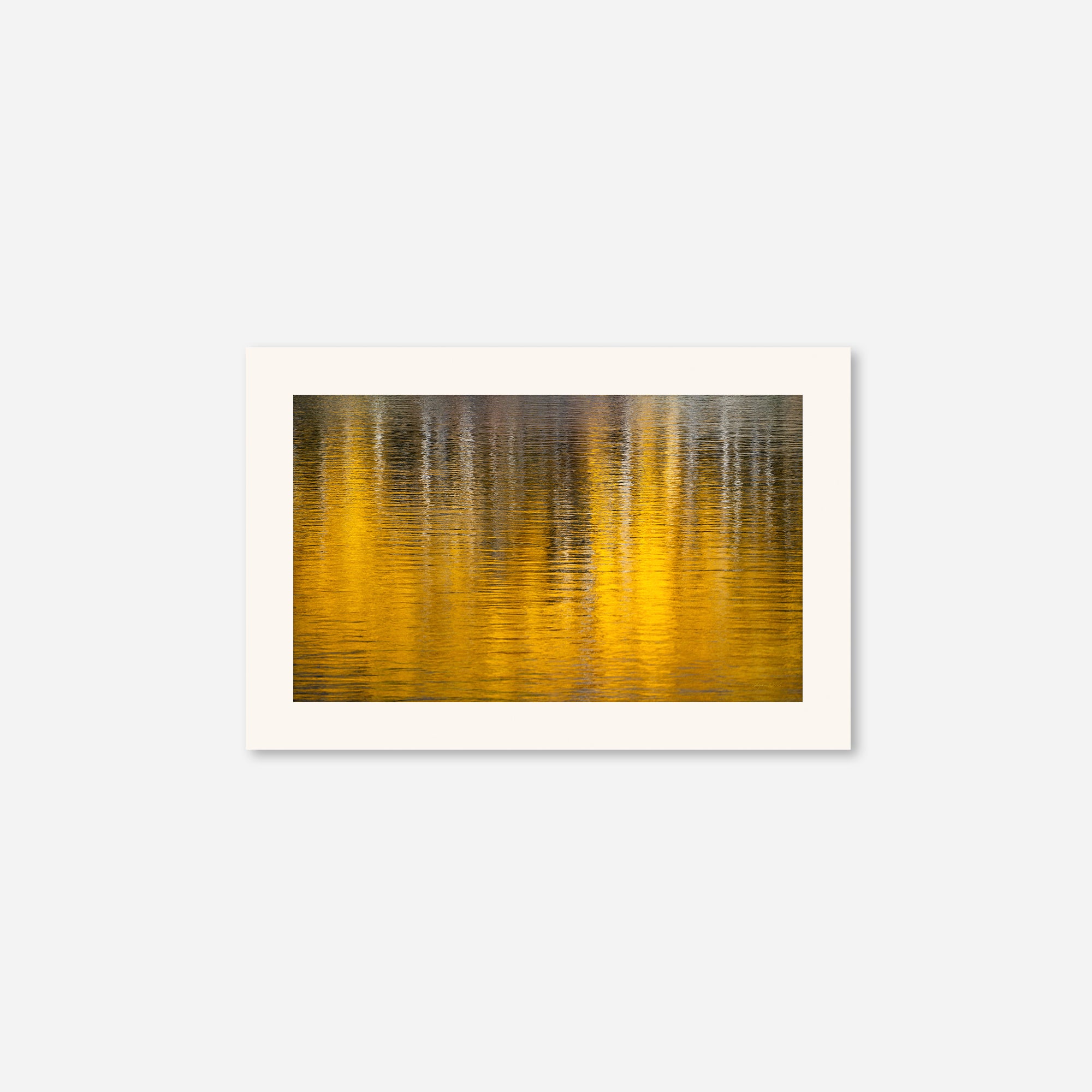 Golden Musings no. 4