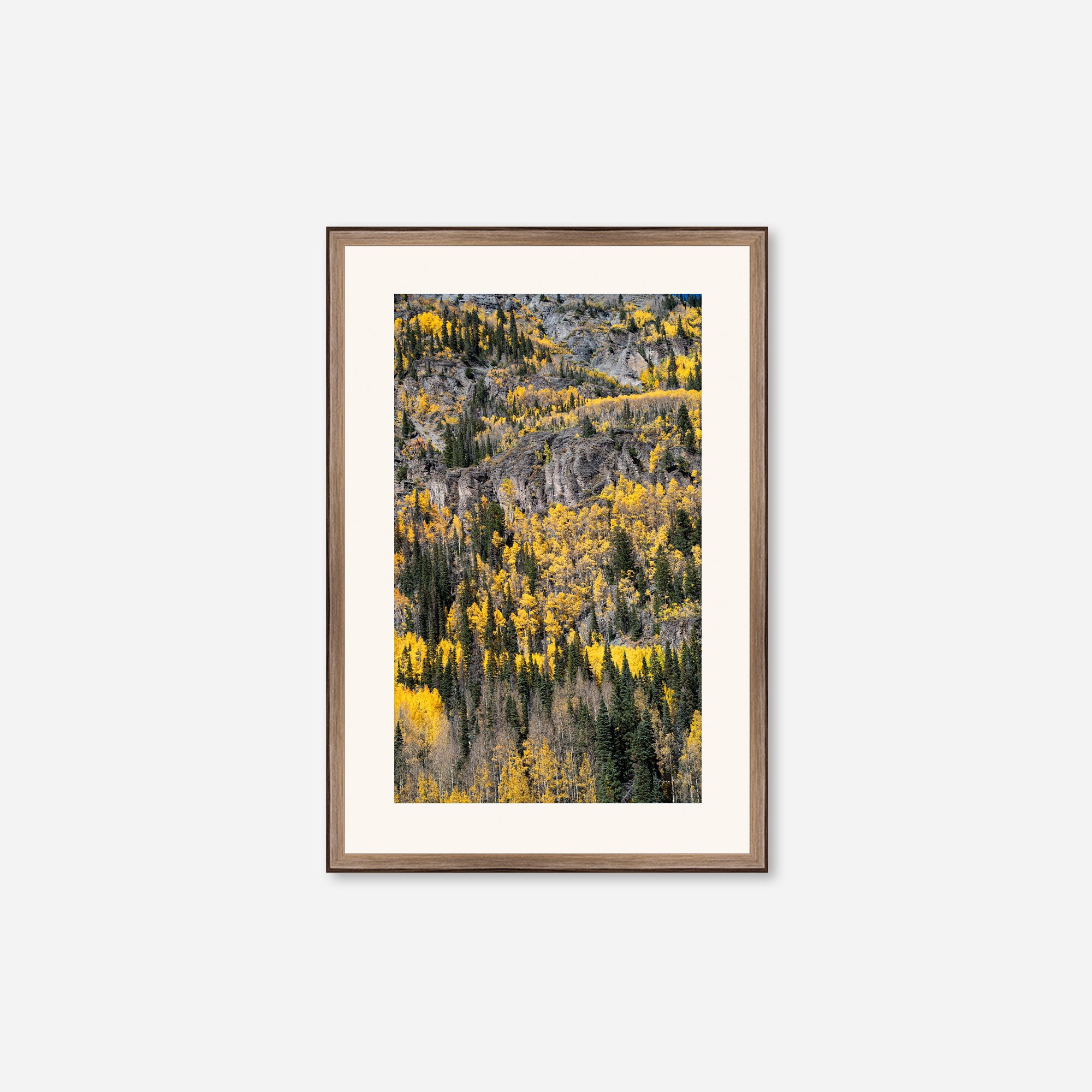 Golden Musings no. 5