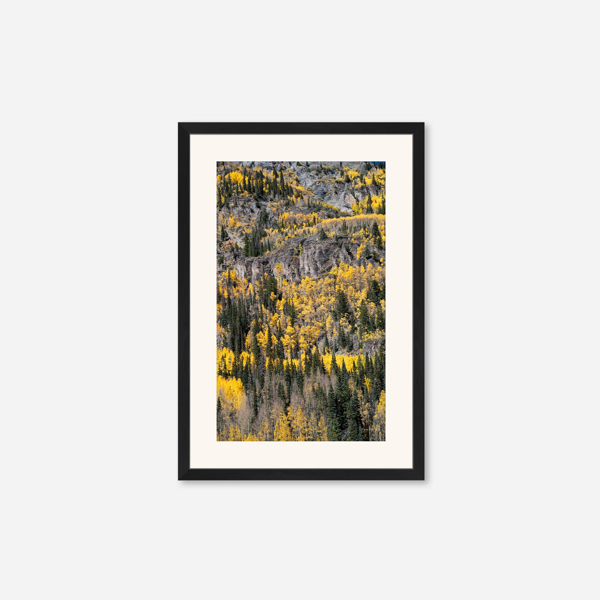 Golden Musings no. 5