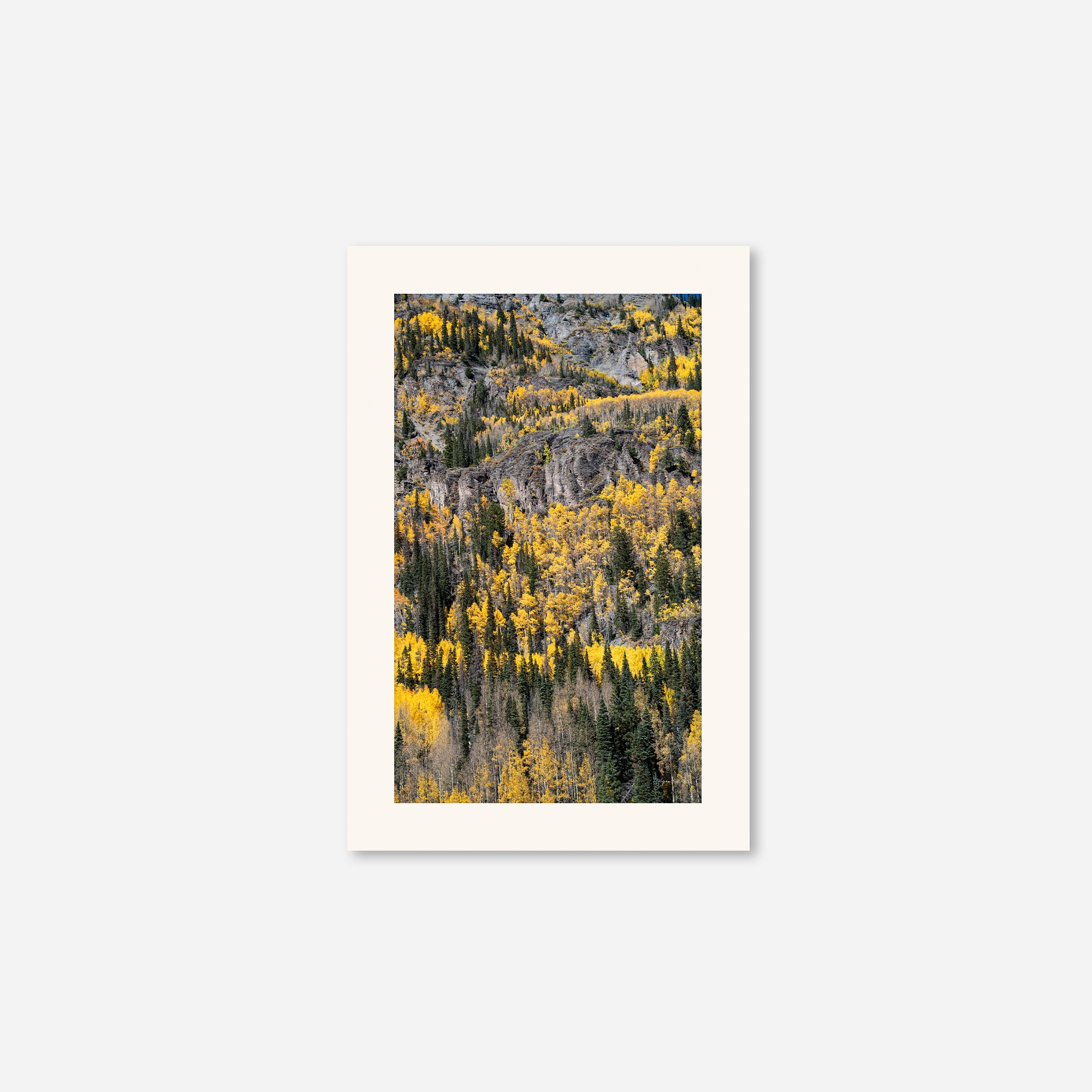 Golden Musings no. 5