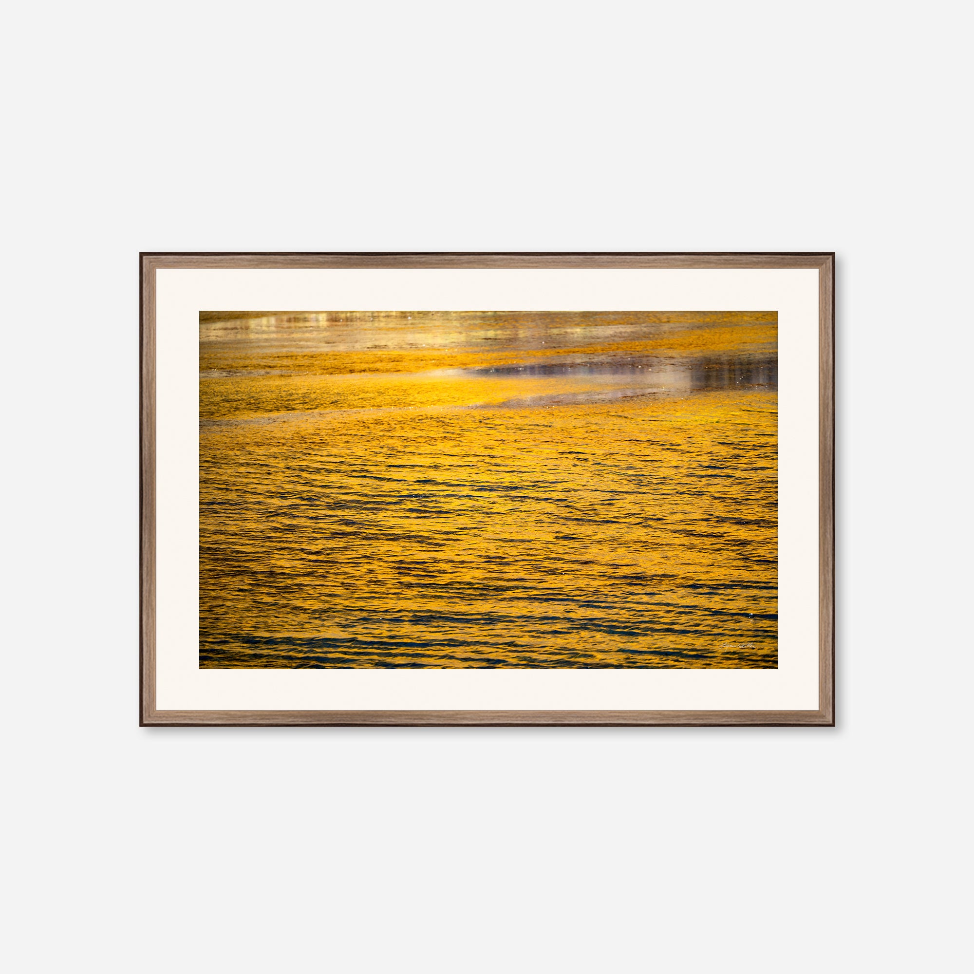 Golden Musings no. 2