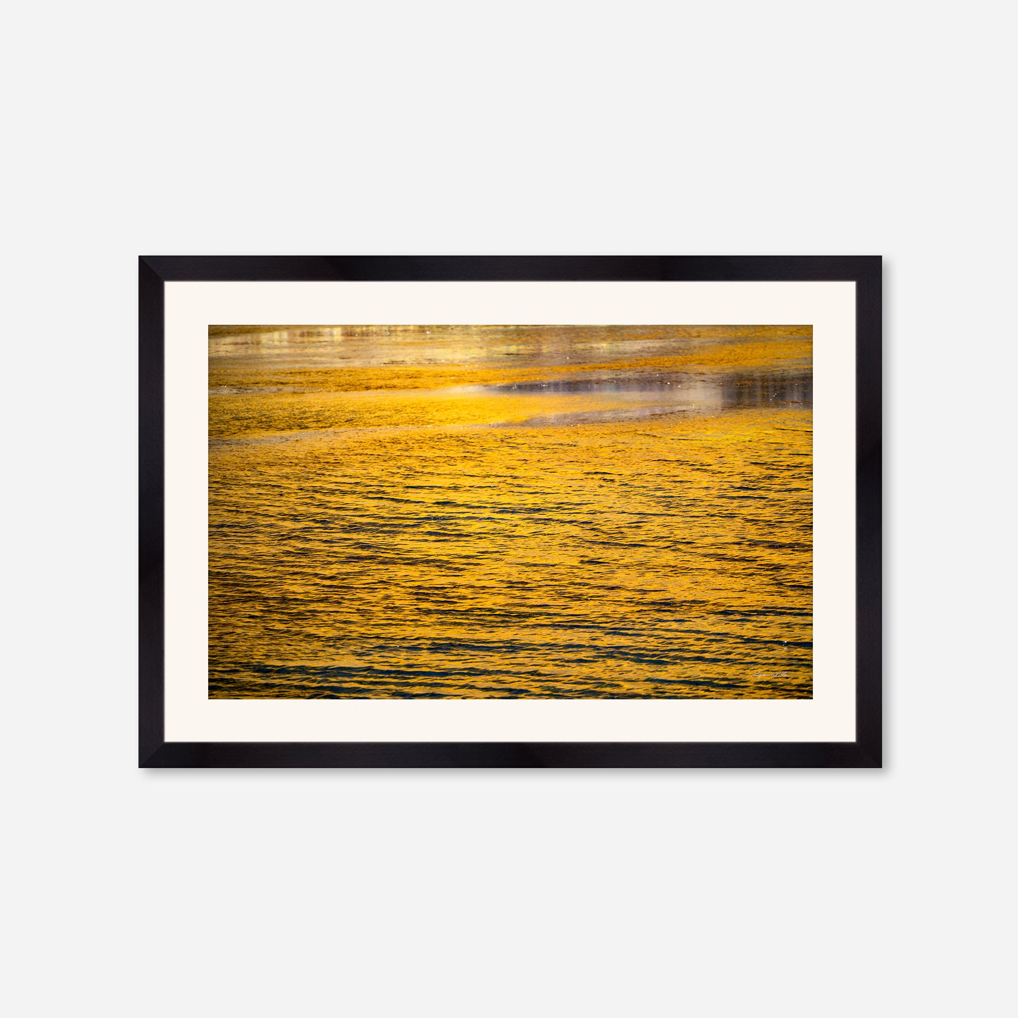 Golden Musings no. 2