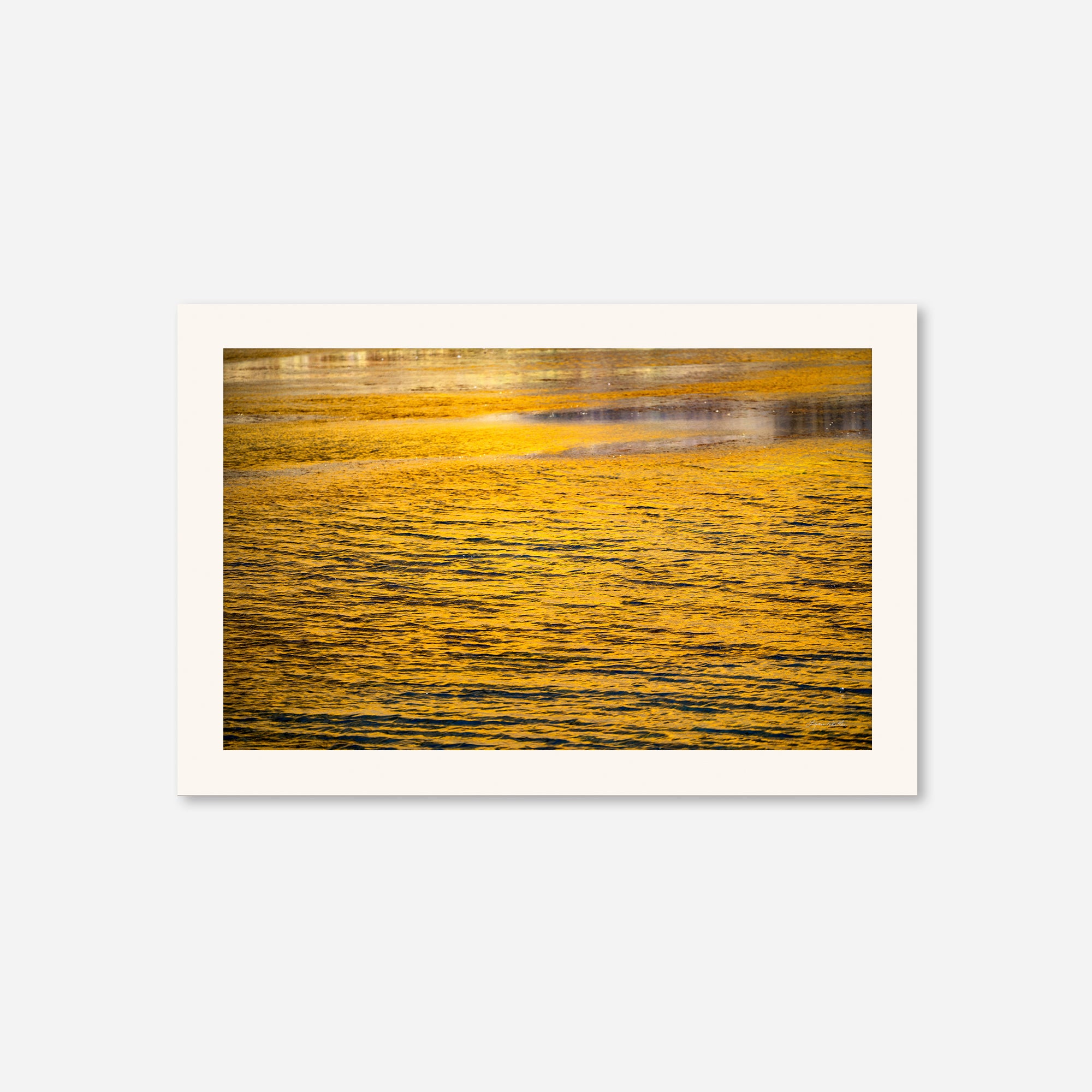 Golden Musings no. 2