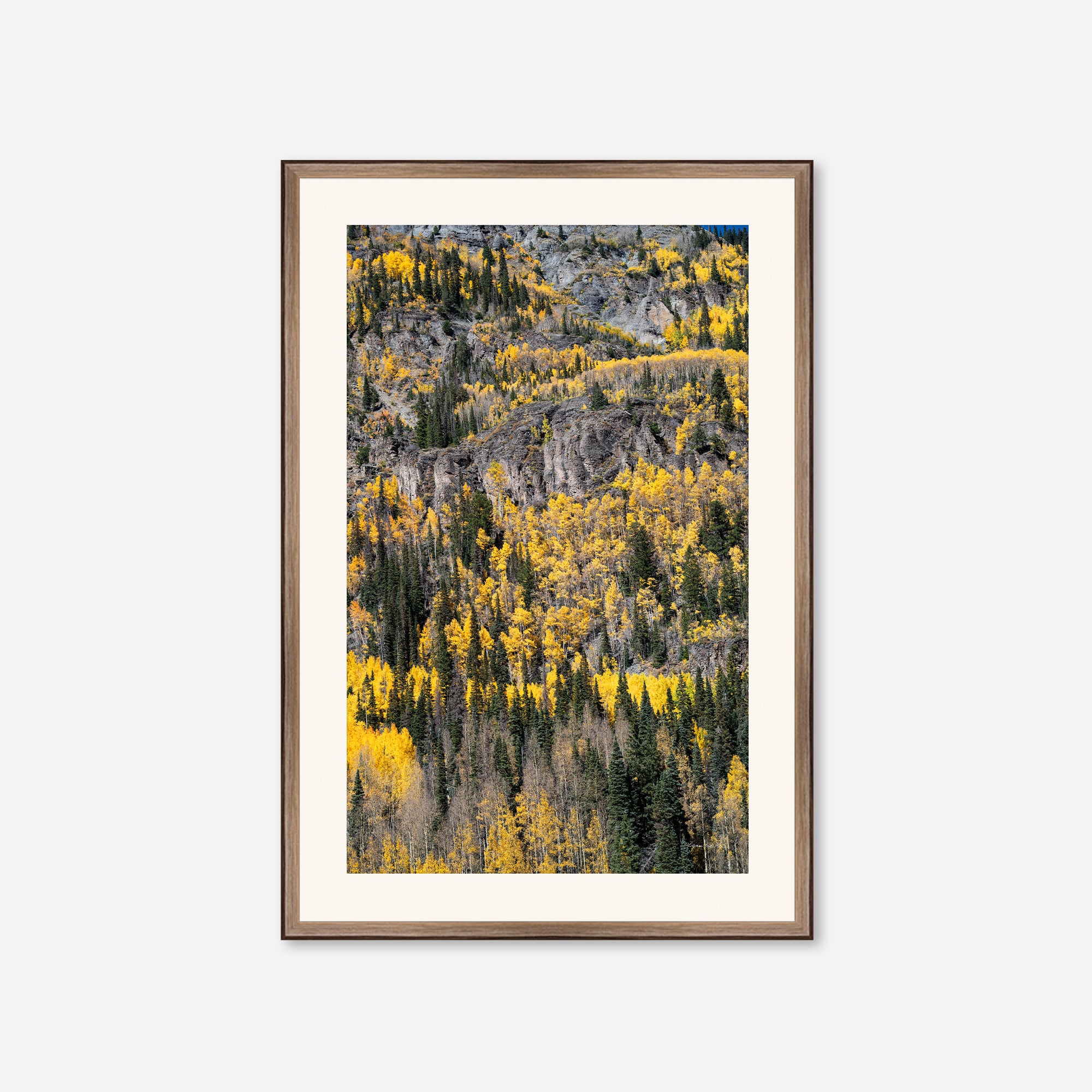 Golden Musings no. 5