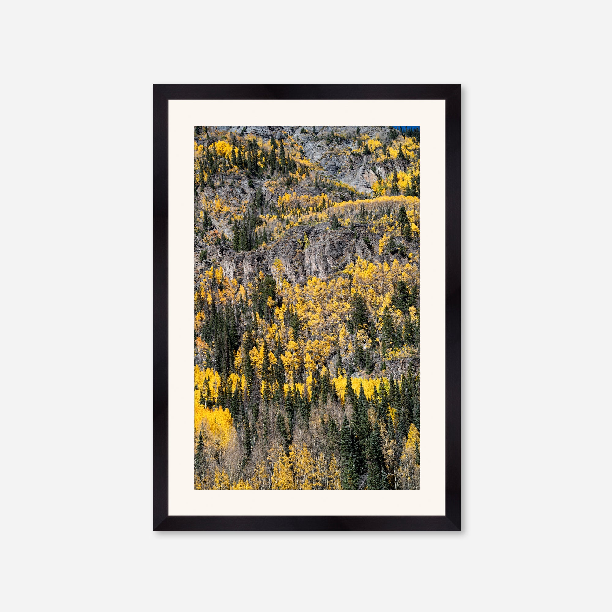 Golden Musings no. 5