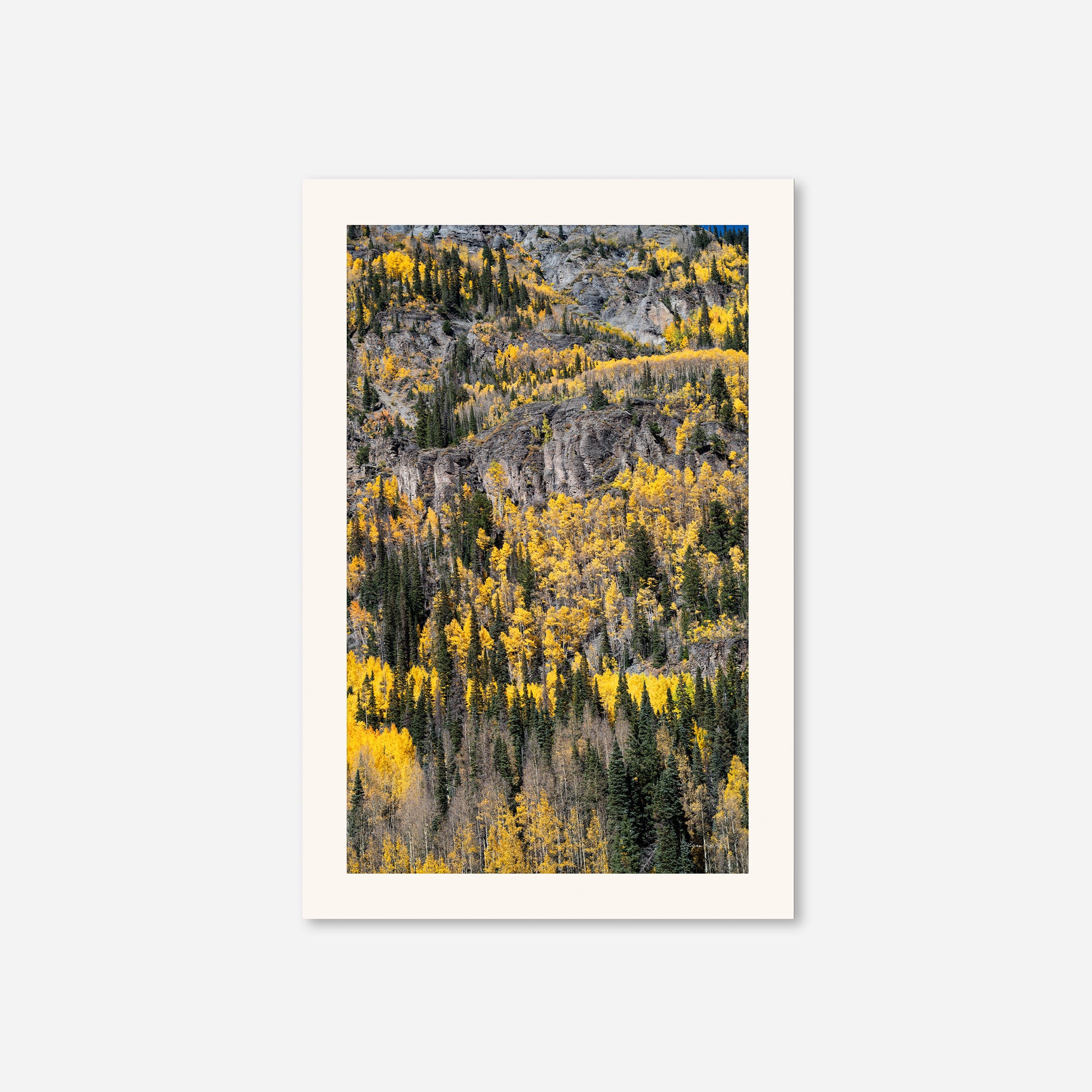 Golden Musings no. 5