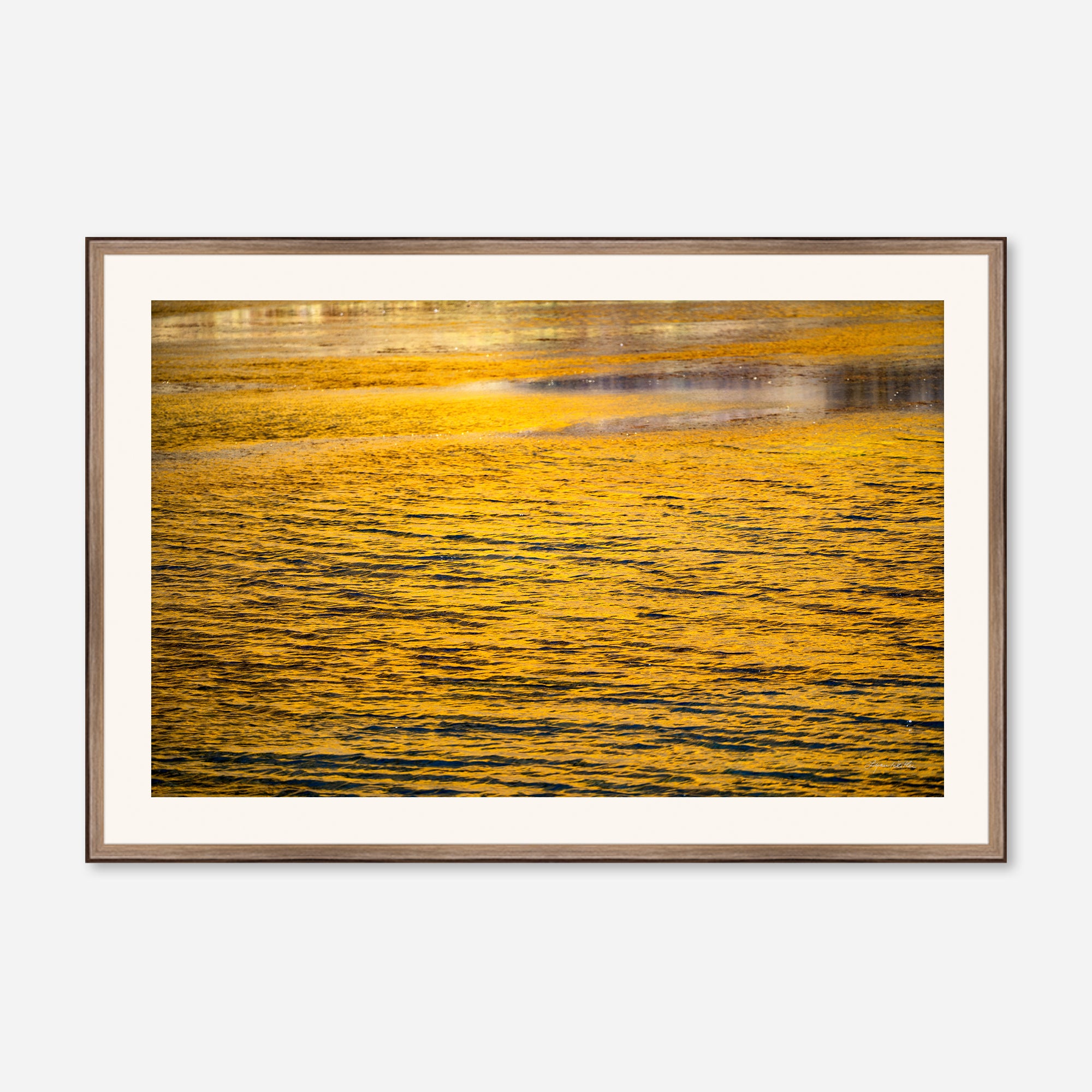 Golden Musings no. 2