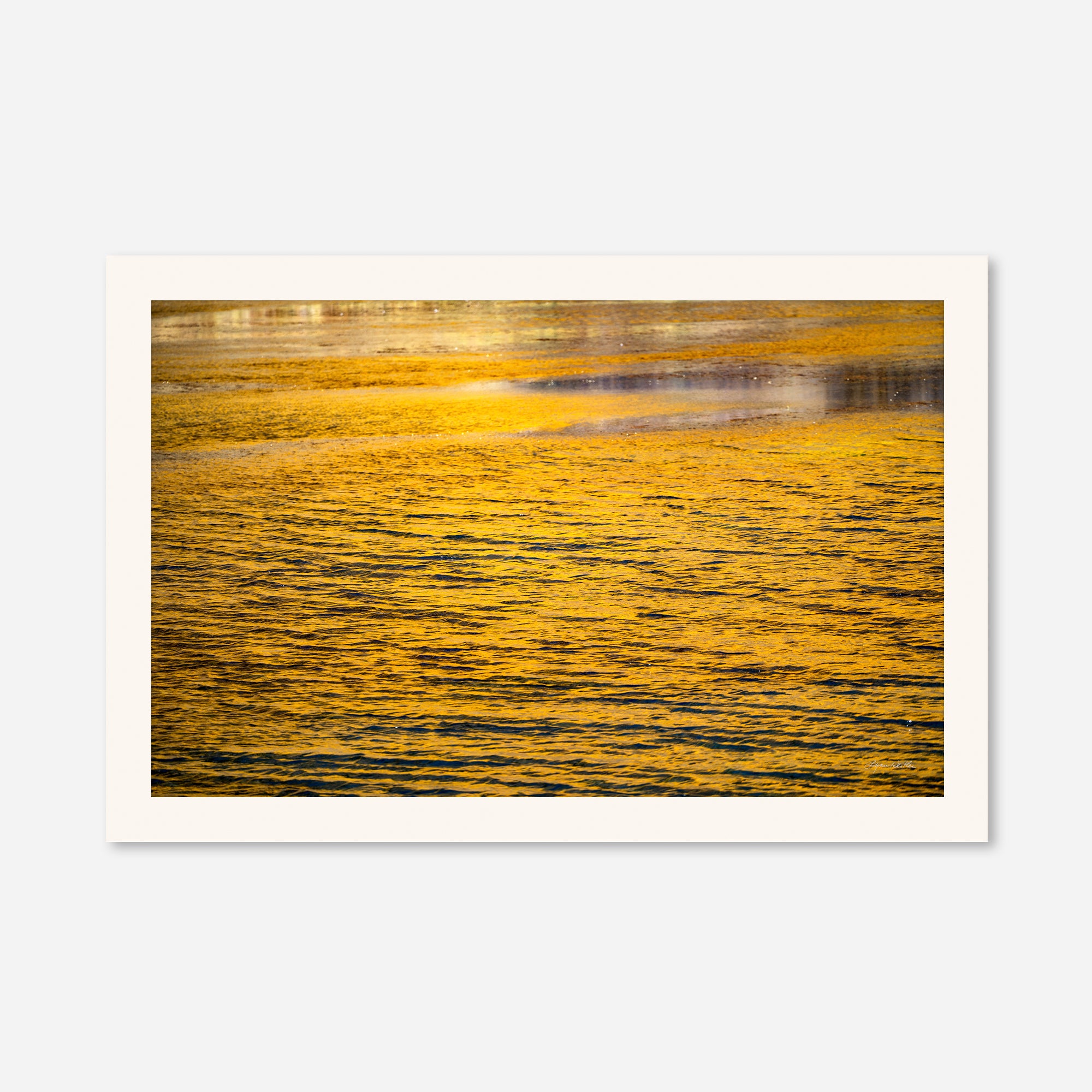 Golden Musings no. 2