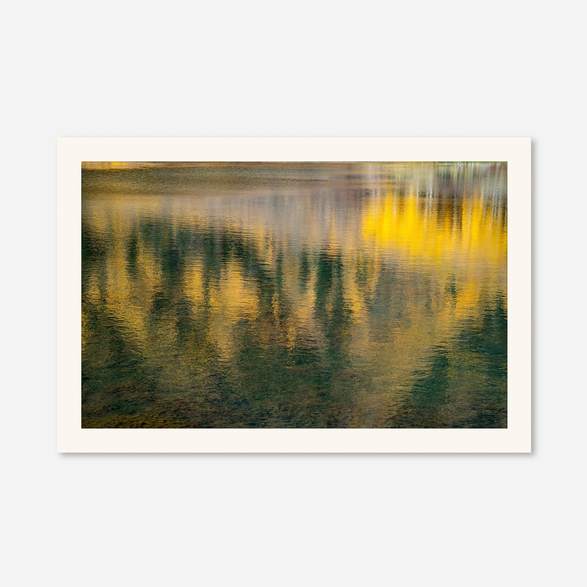 Golden Musings no. 3