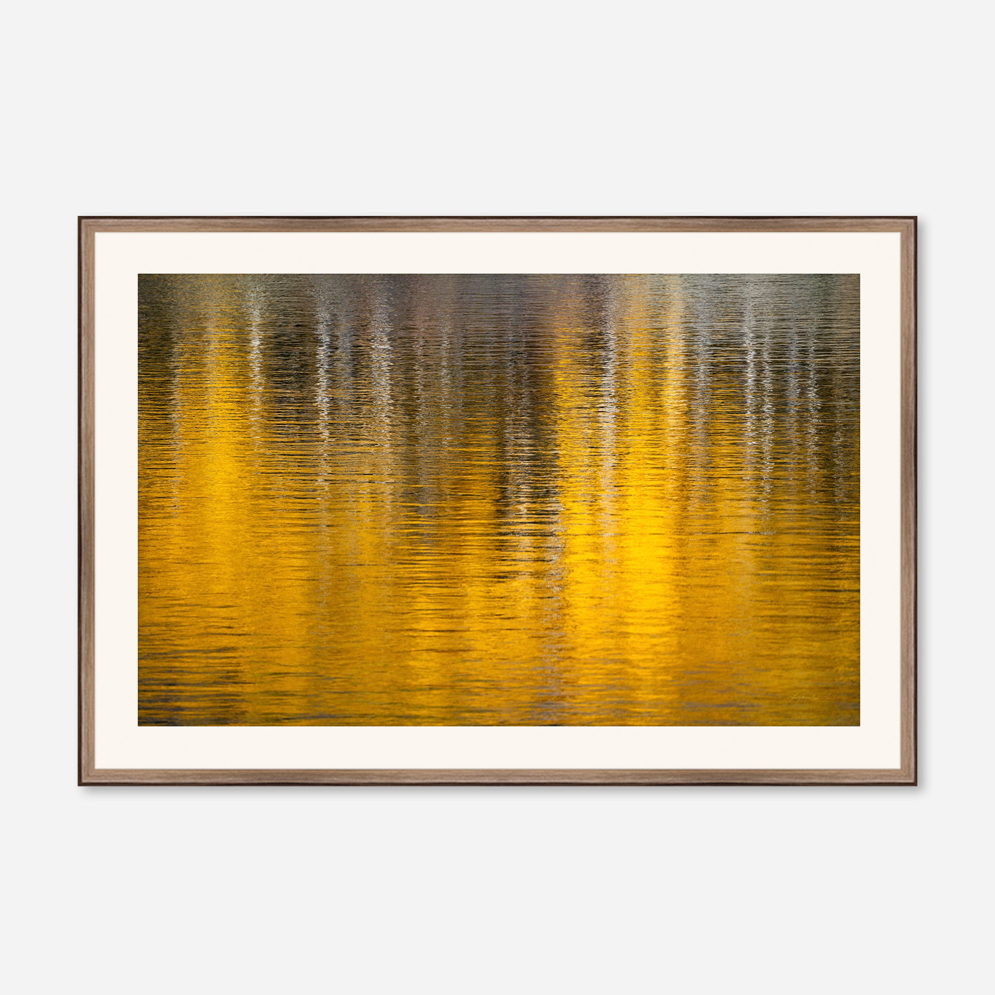 Golden Musings no. 4