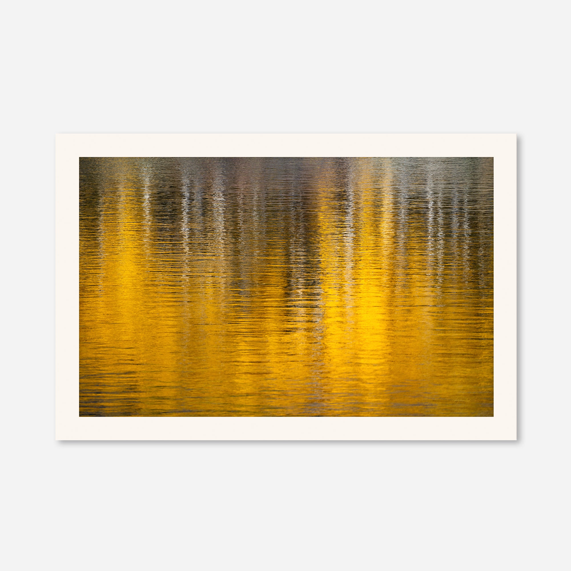 Golden Musings no. 4