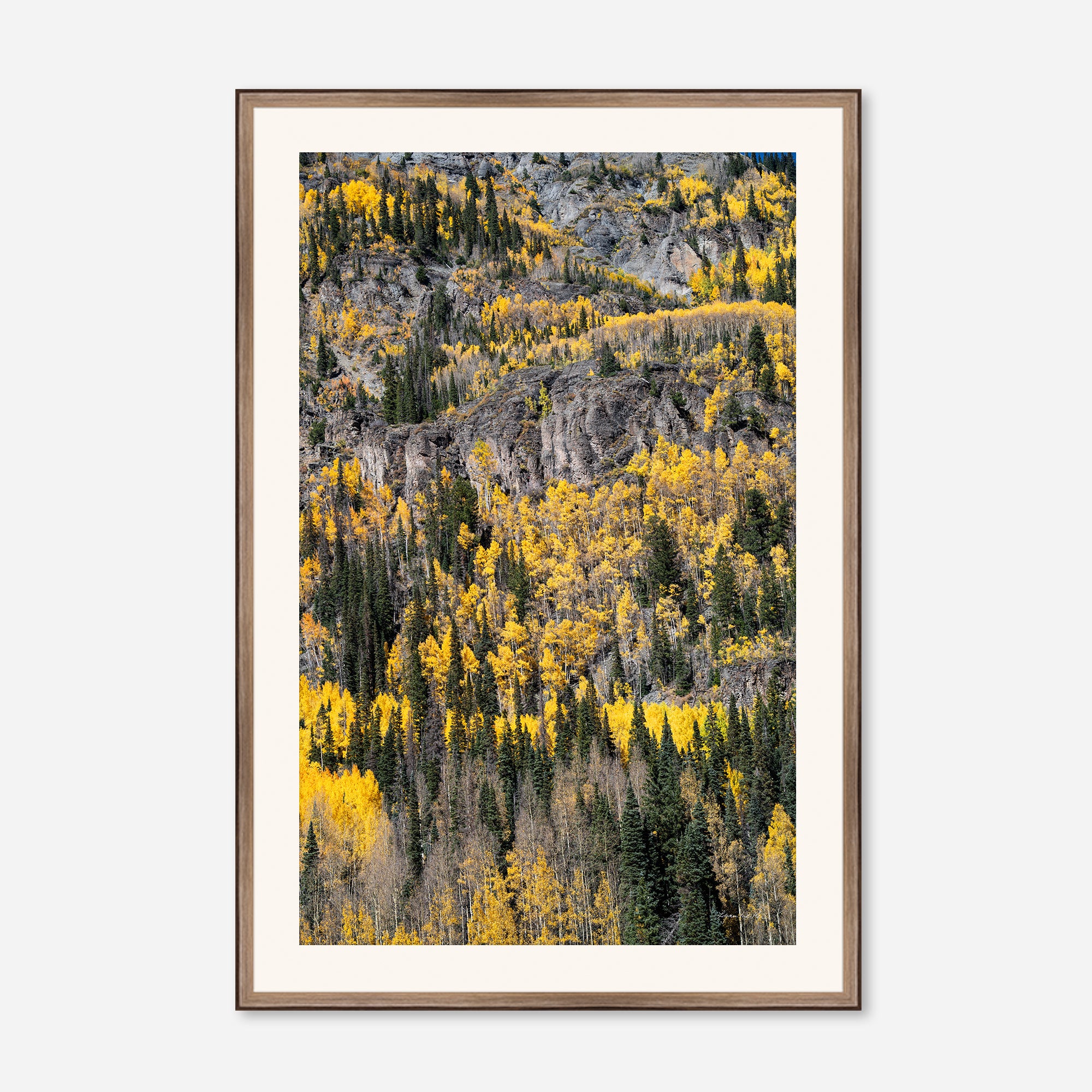 Golden Musings no. 5