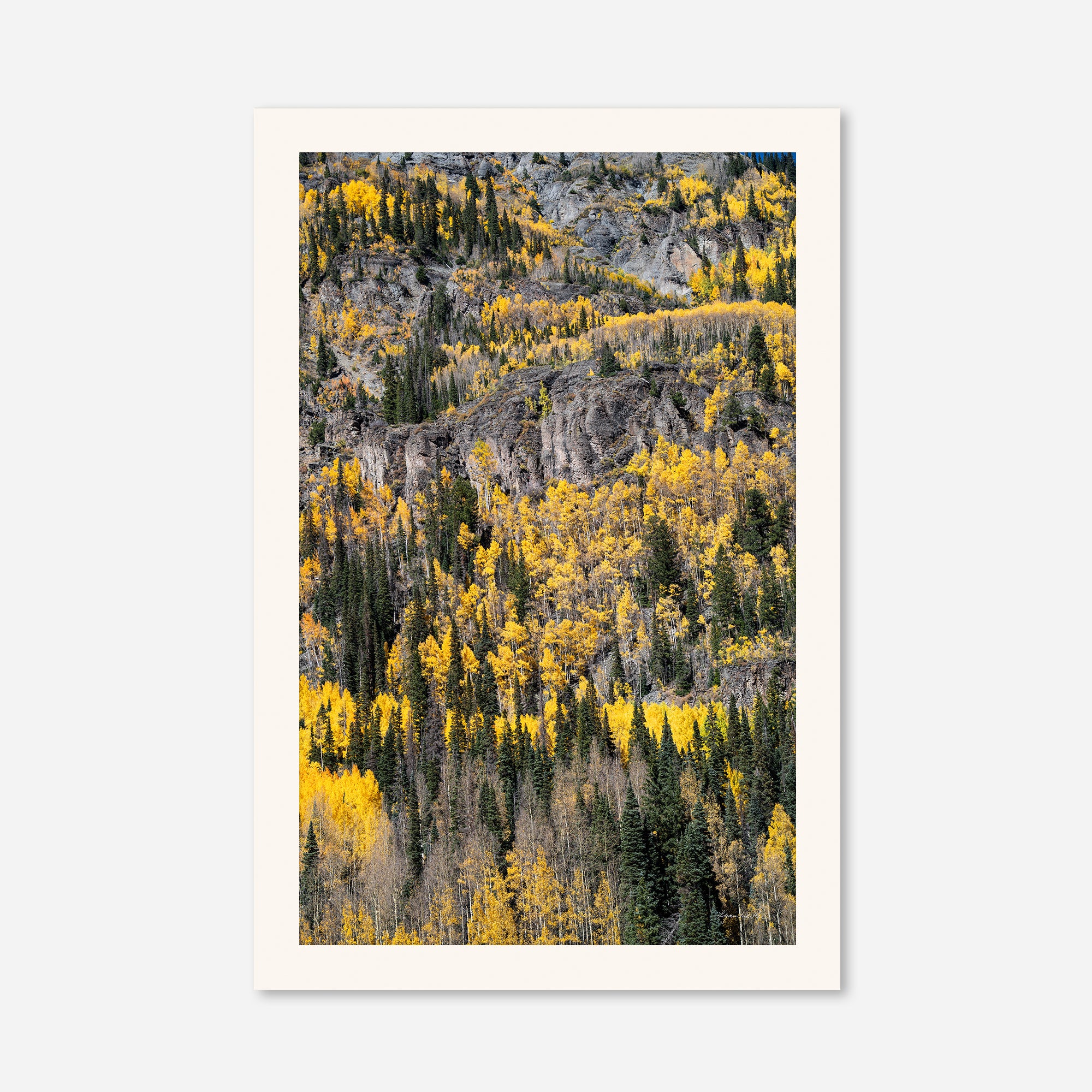 Golden Musings no. 5