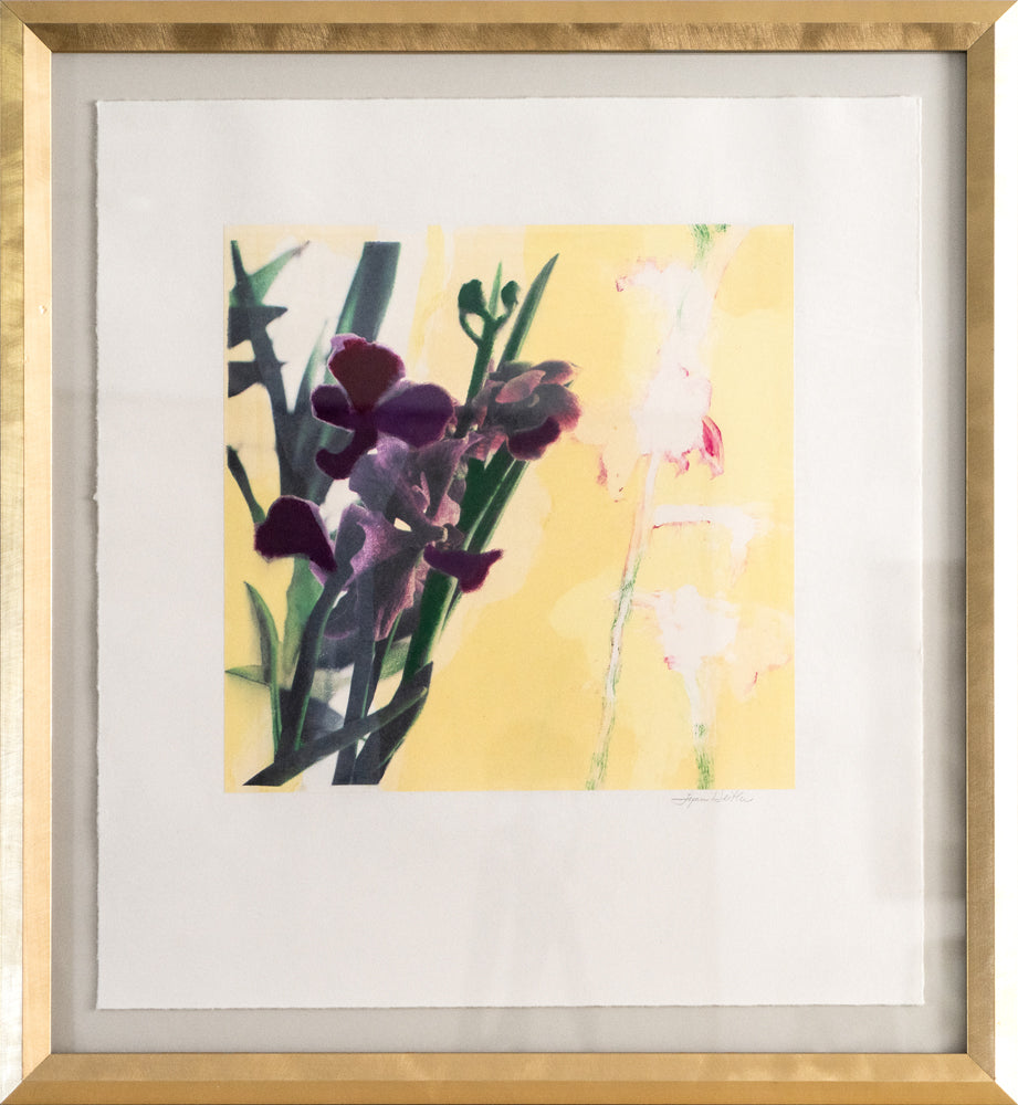 Jardin 4