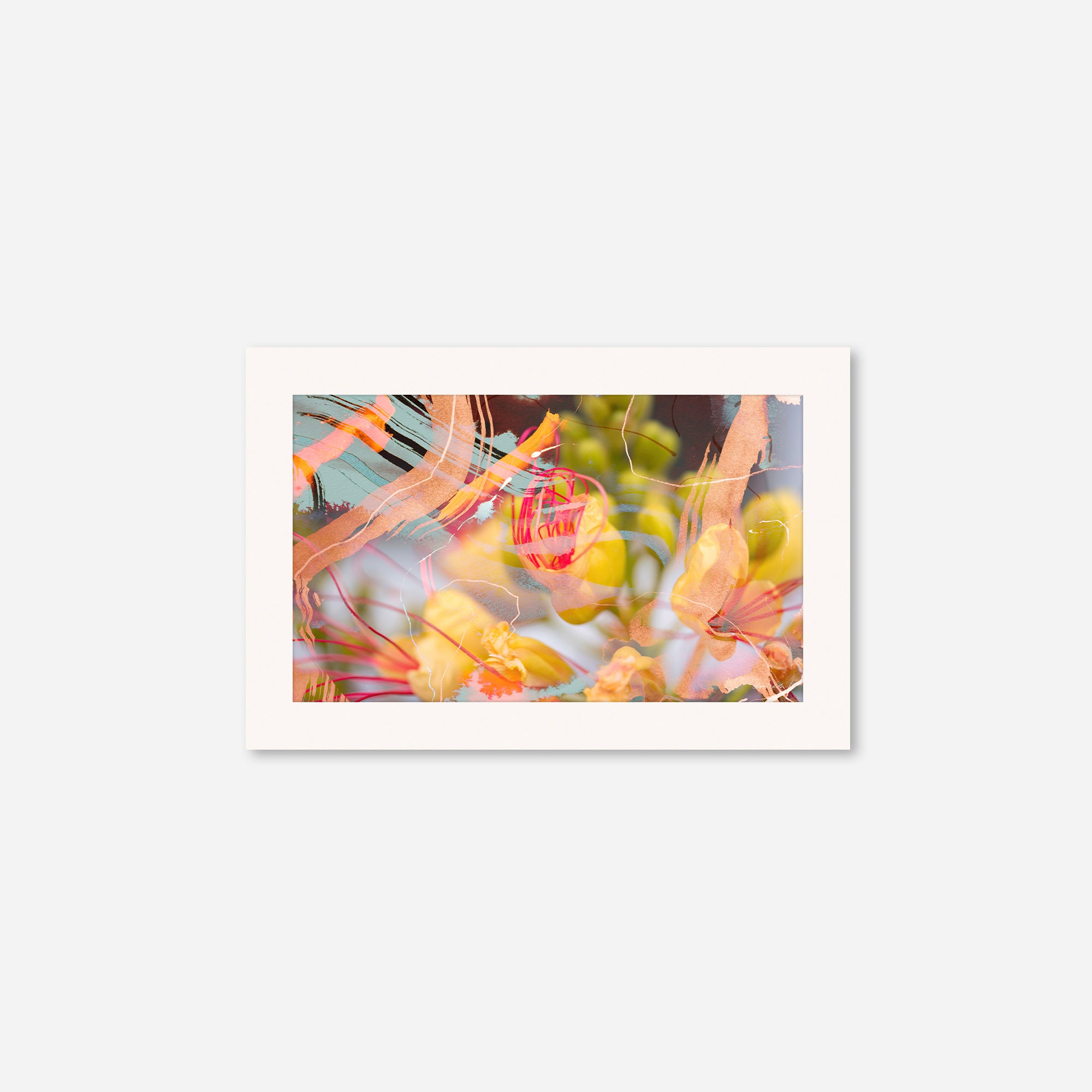 Joy no.1