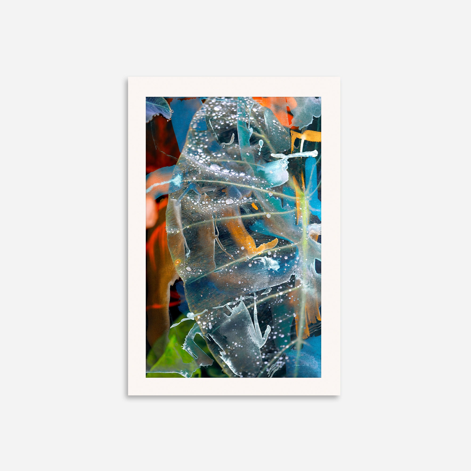 Joy no.4