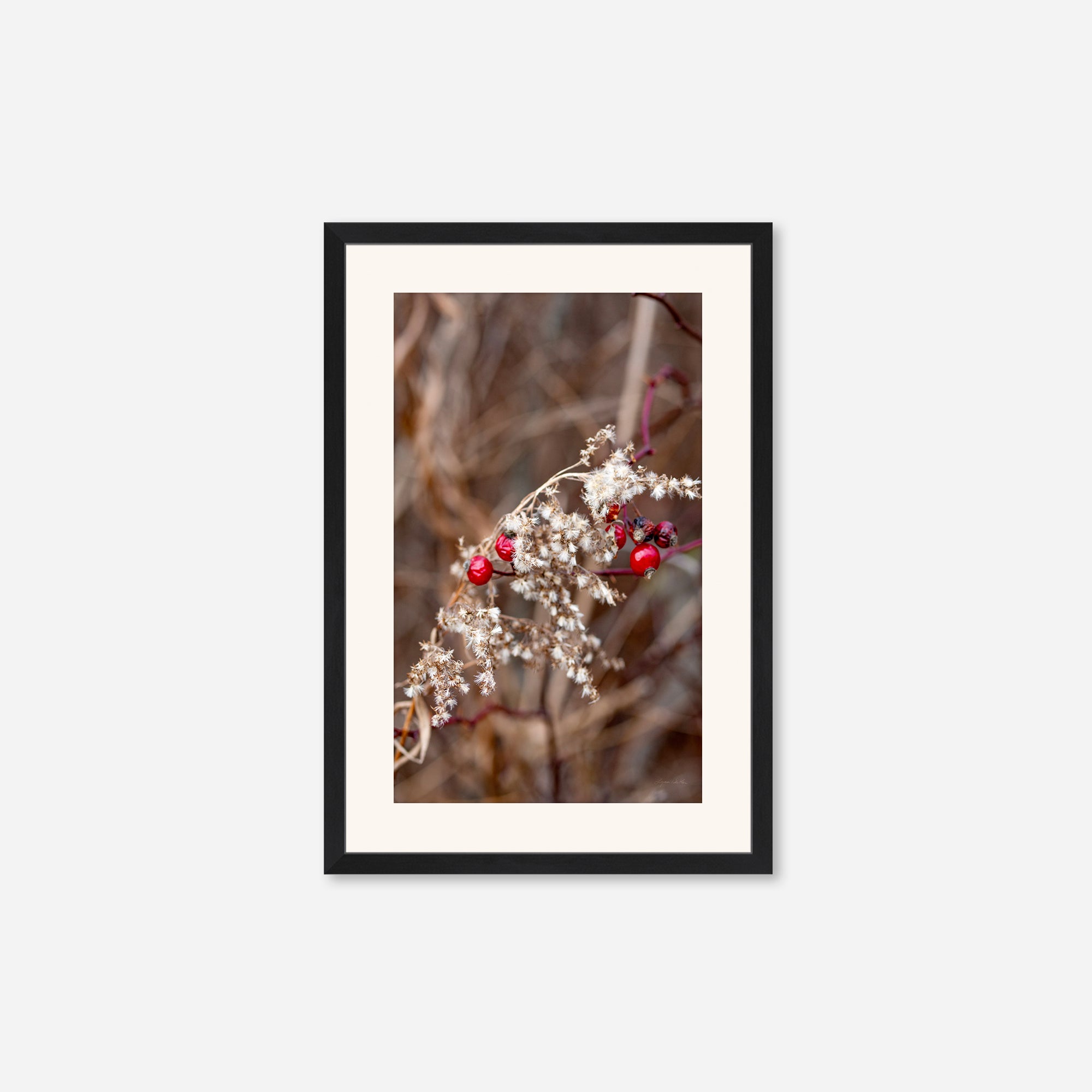 Late Fall no. 1
