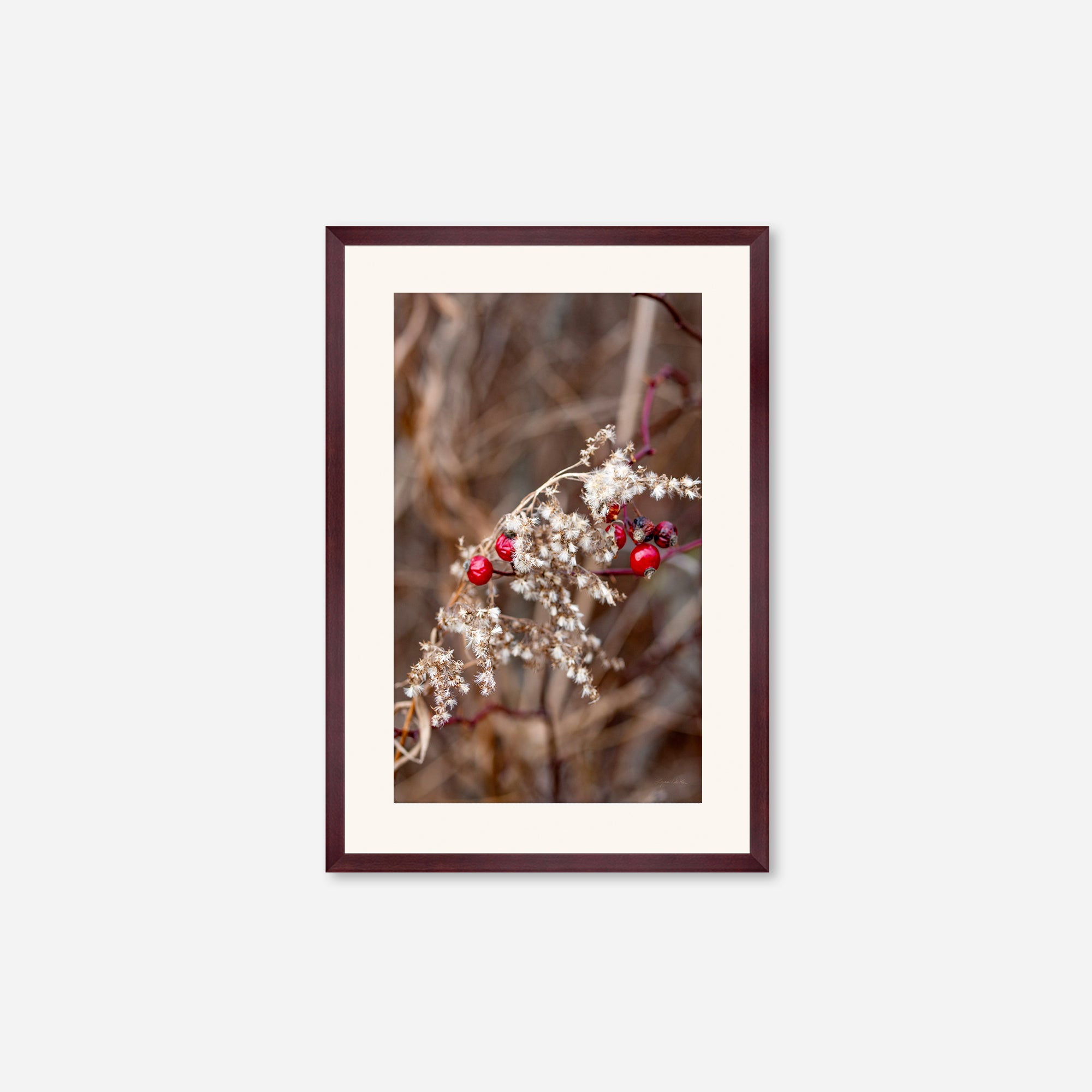 Late Fall no. 1
