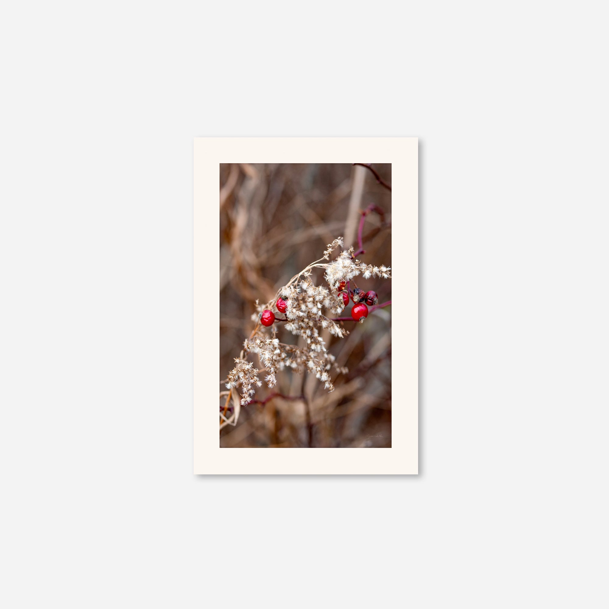Late Fall no. 1