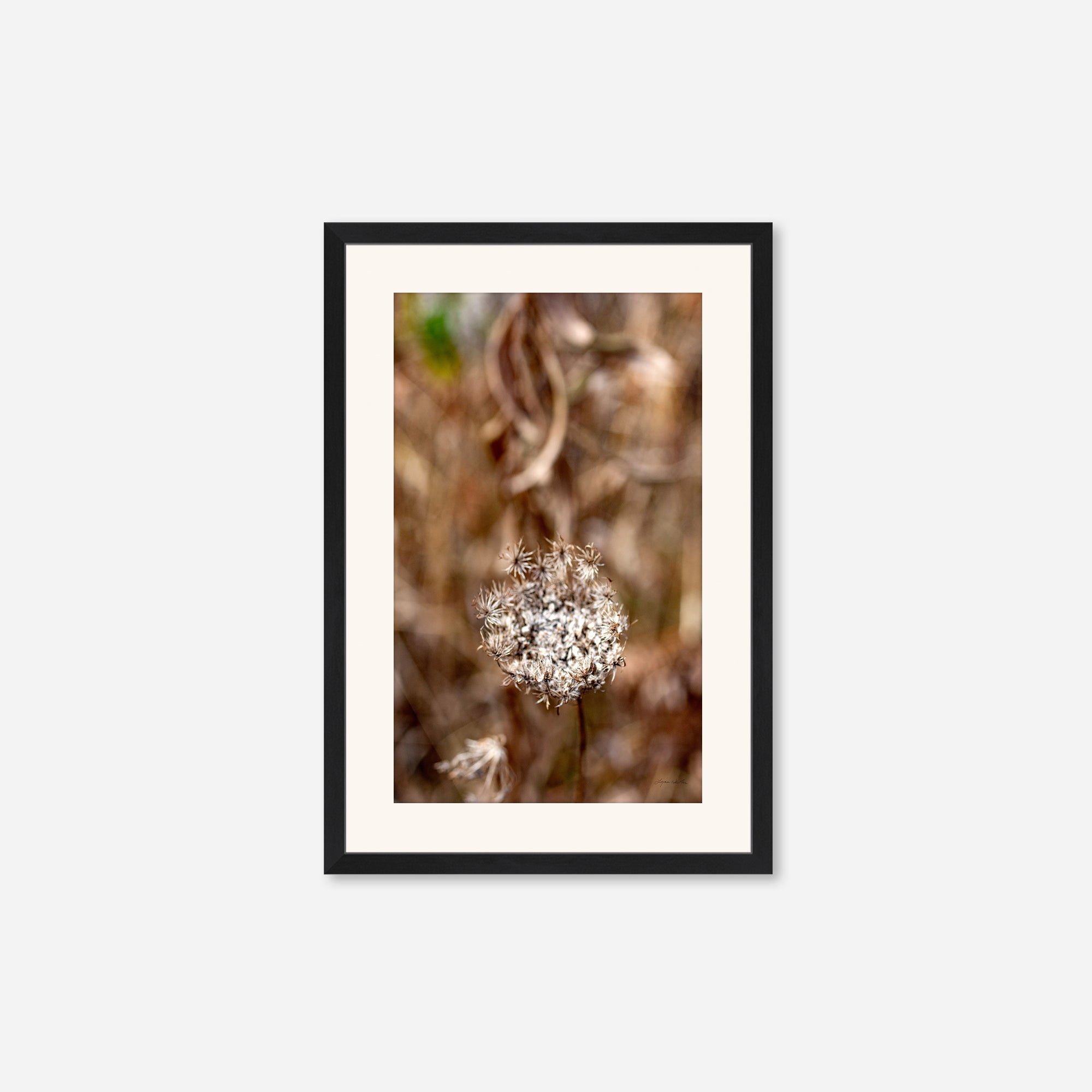 Late Fall no. 2