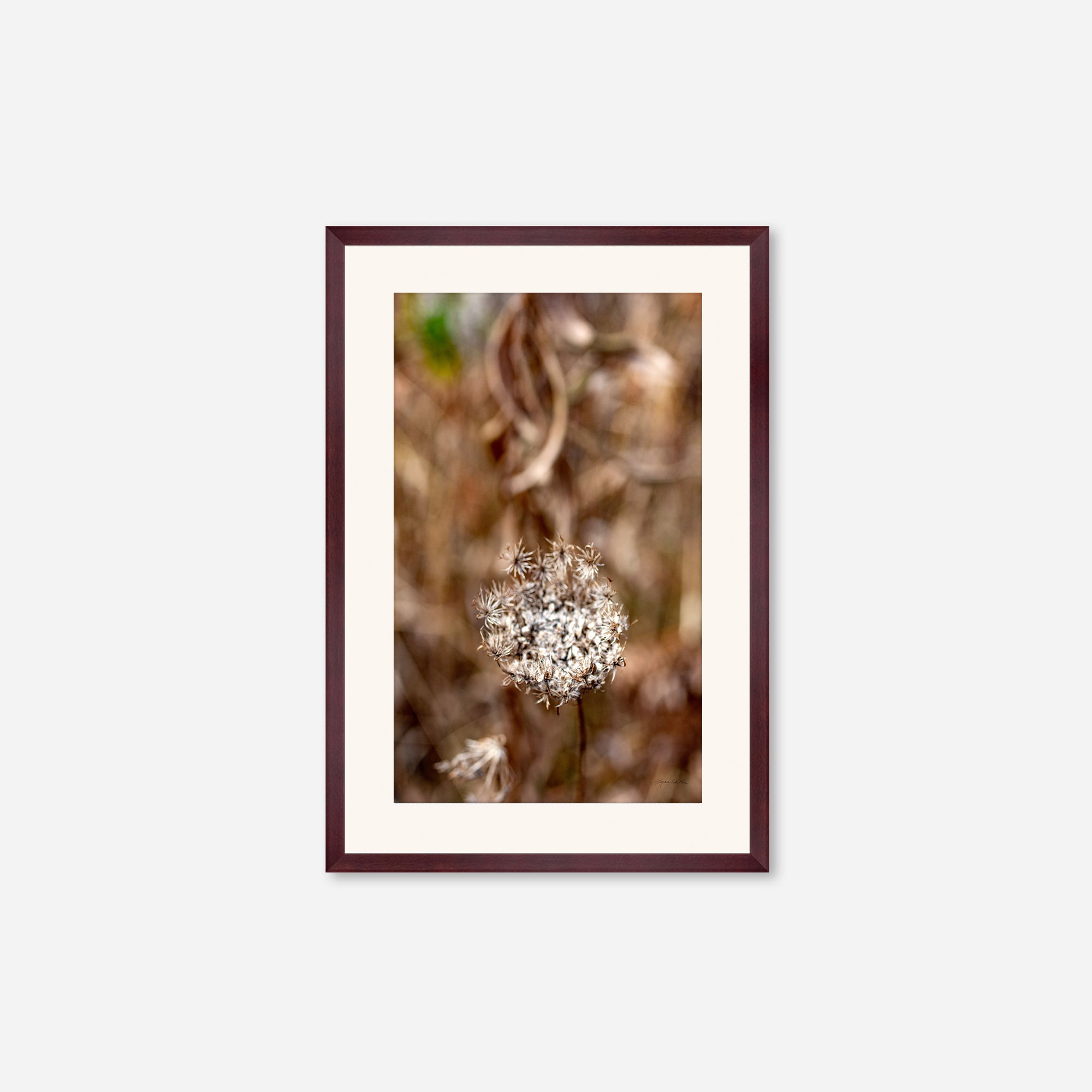 Late Fall no. 2