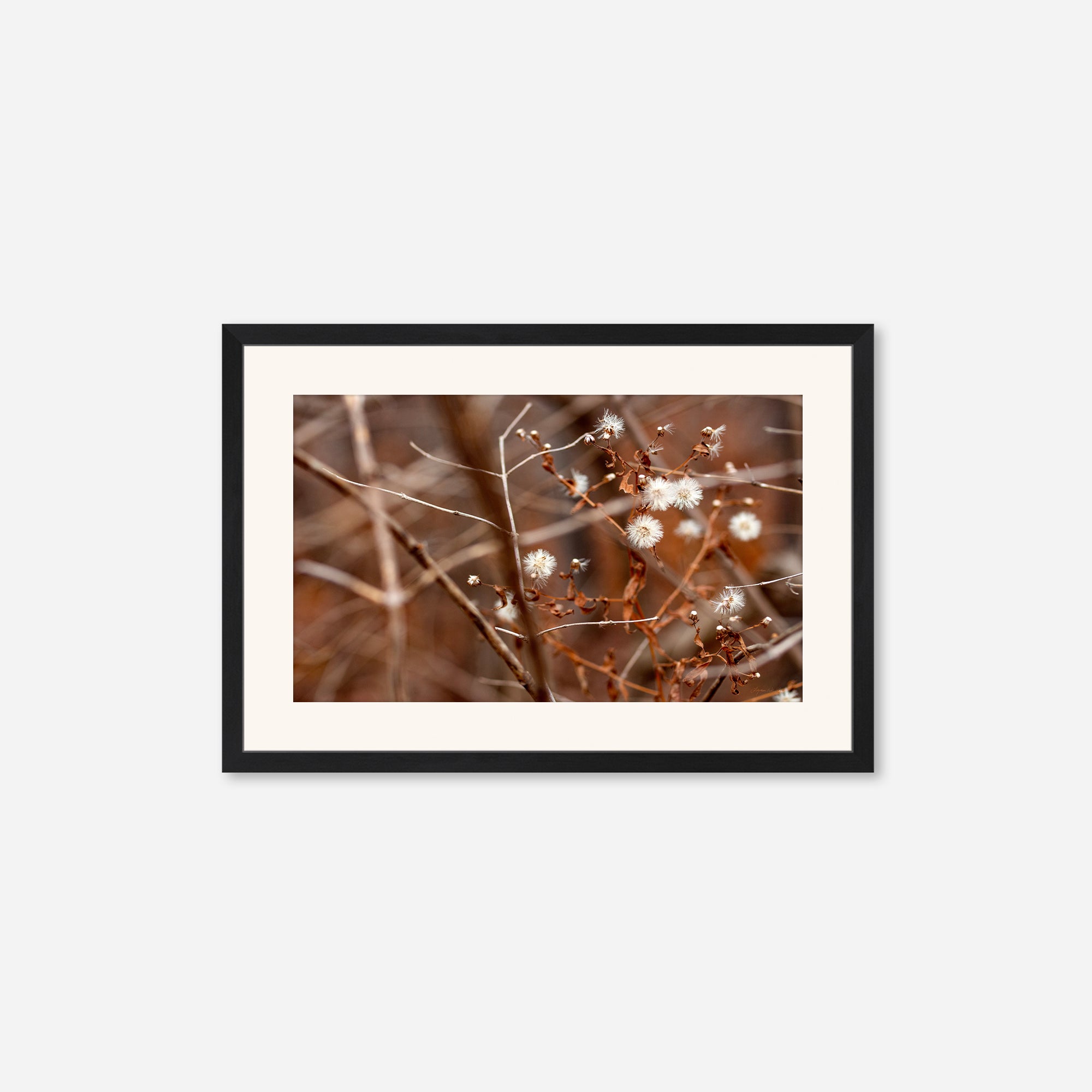 Late Fall no. 3