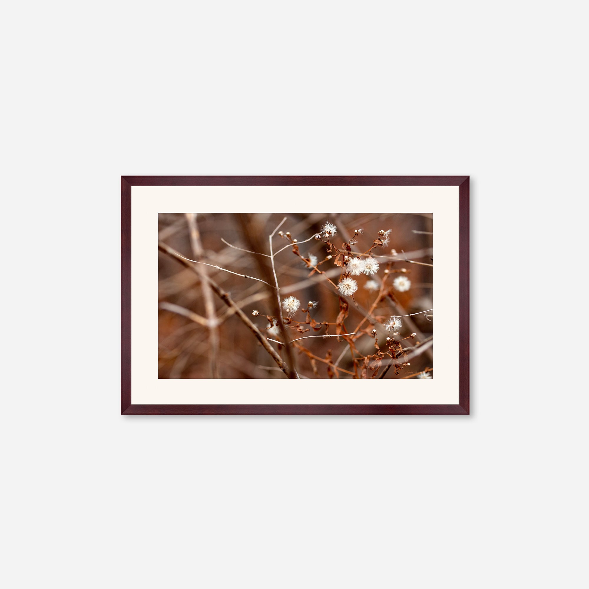 Late Fall no. 3