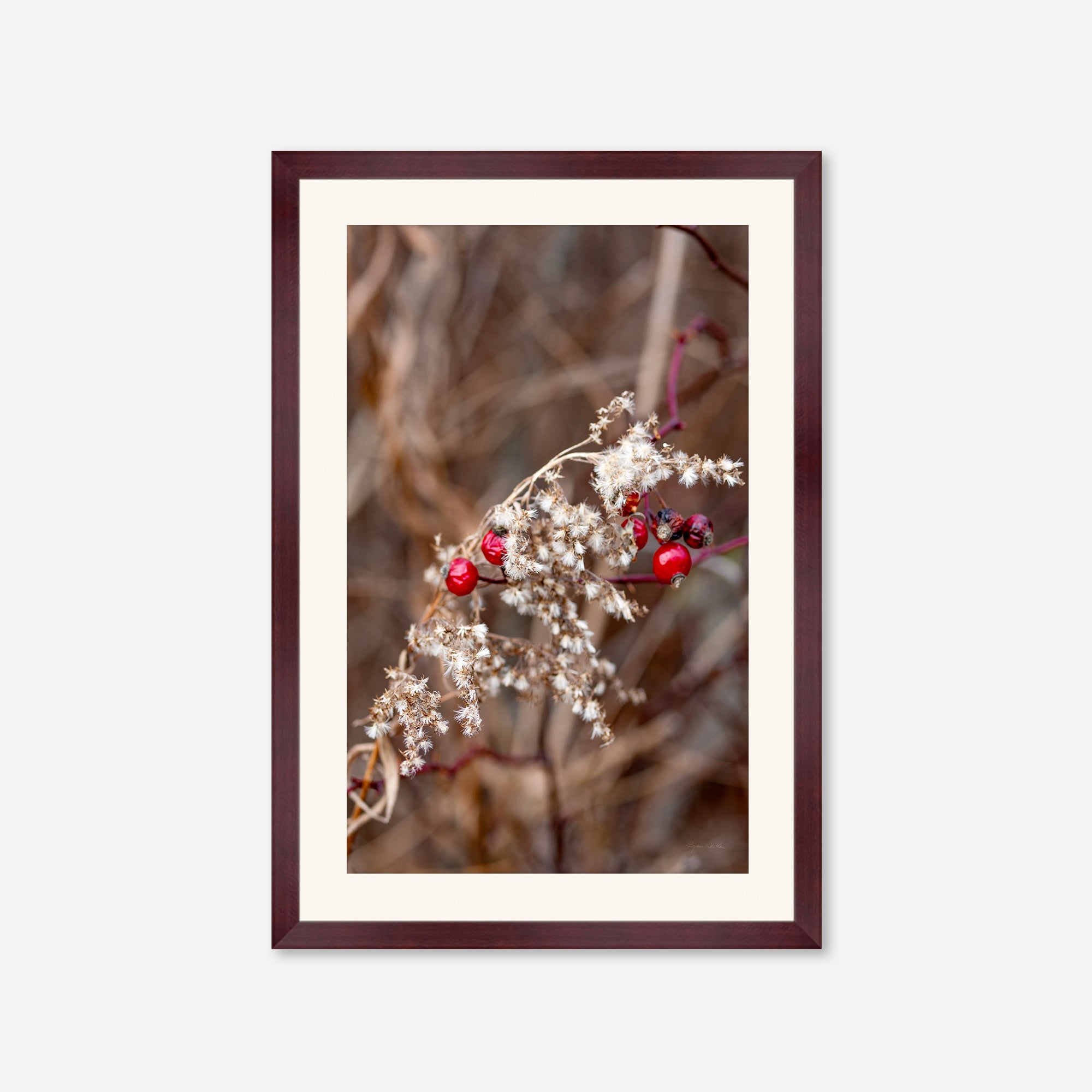 Late Fall no. 1