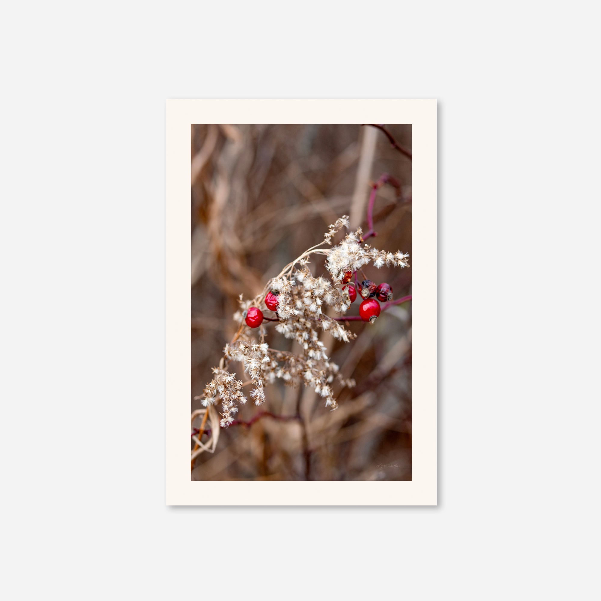 Late Fall no. 1