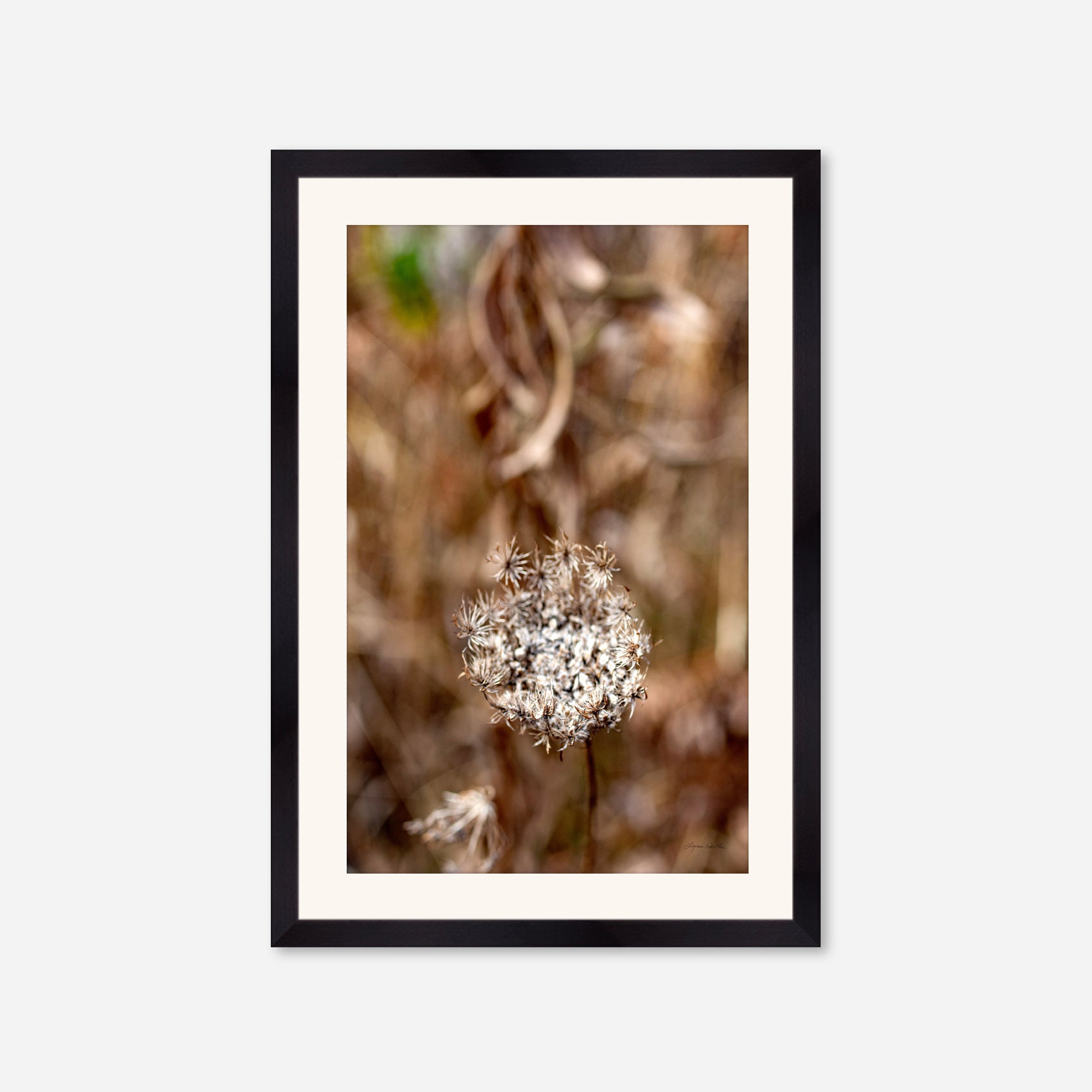 Late Fall no. 2