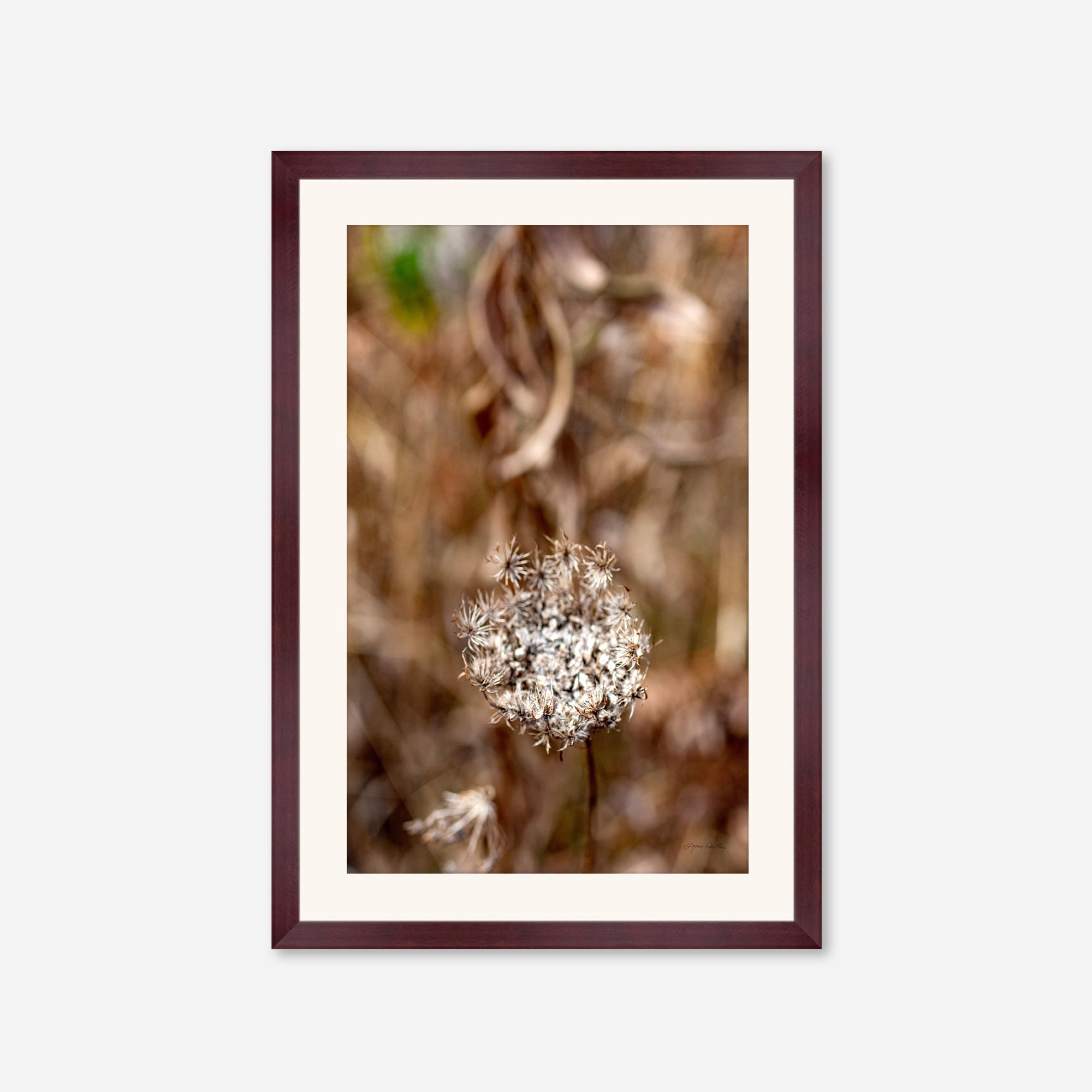Late Fall no. 2