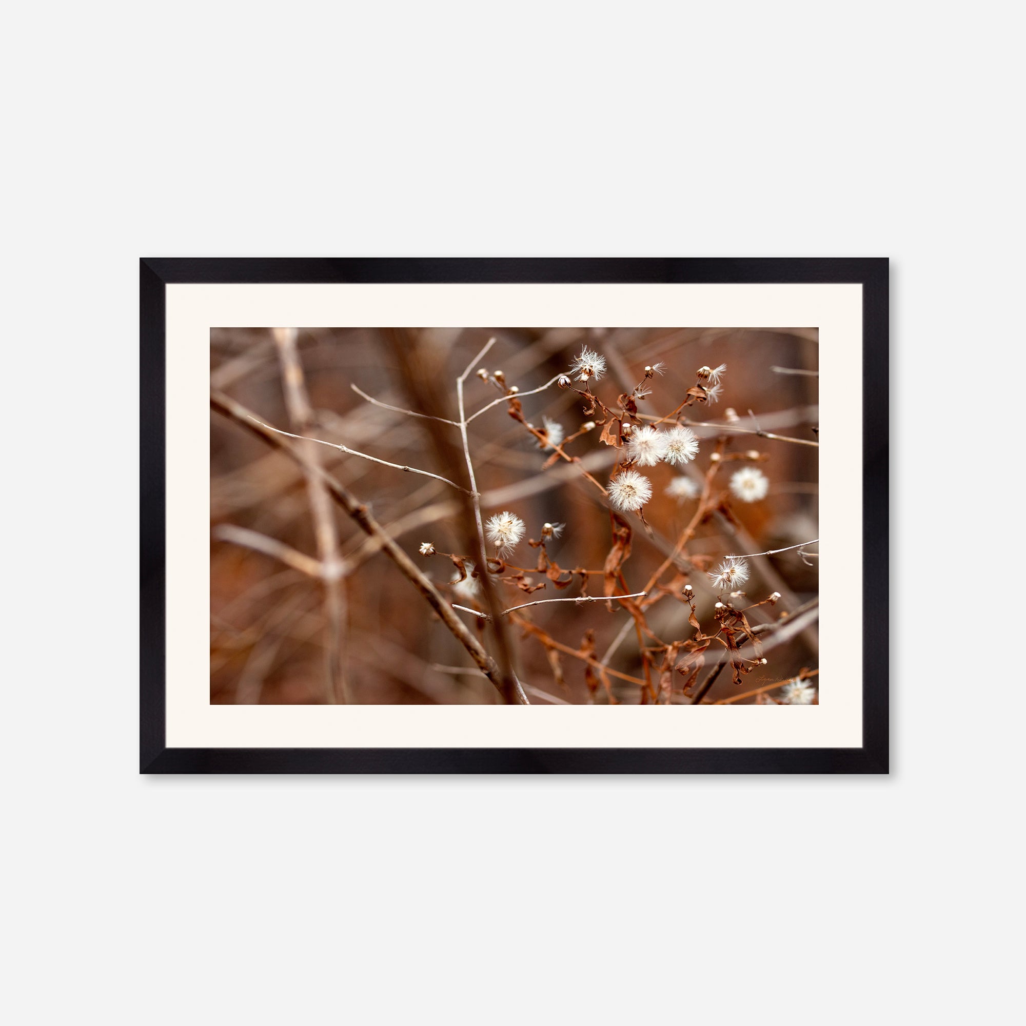 Late Fall no. 3
