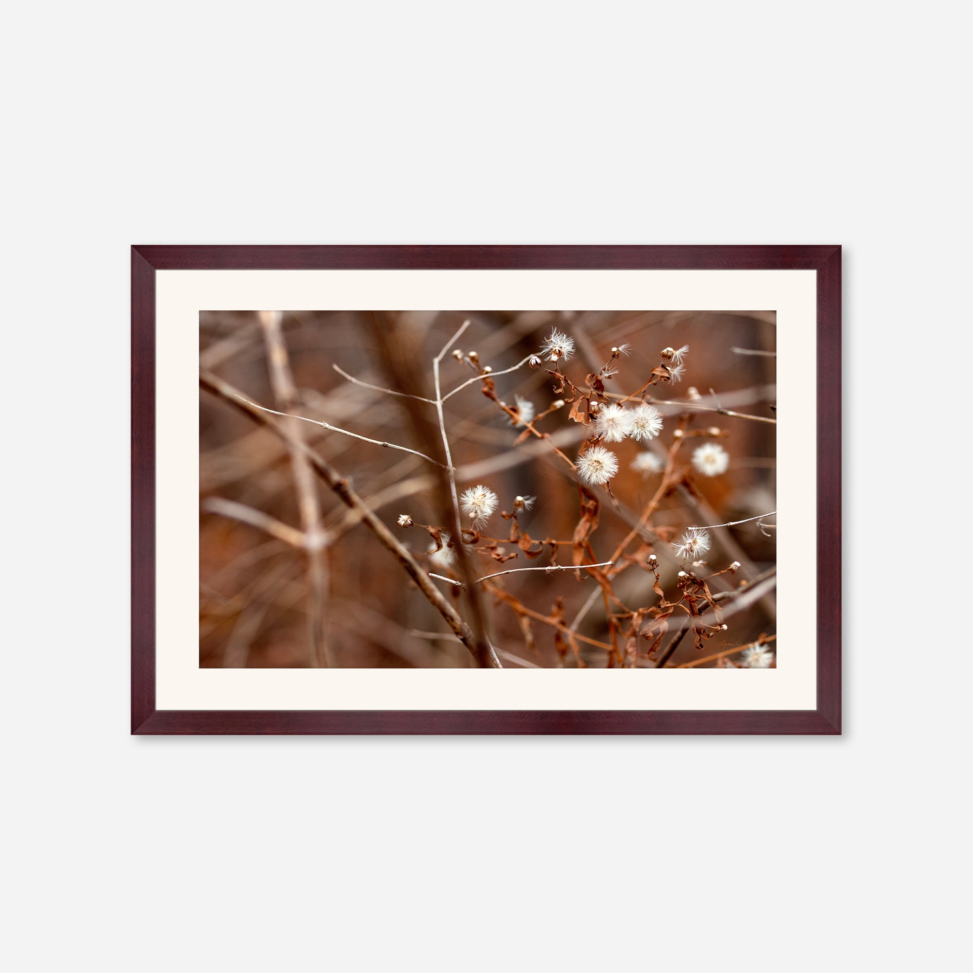 Late Fall no. 3