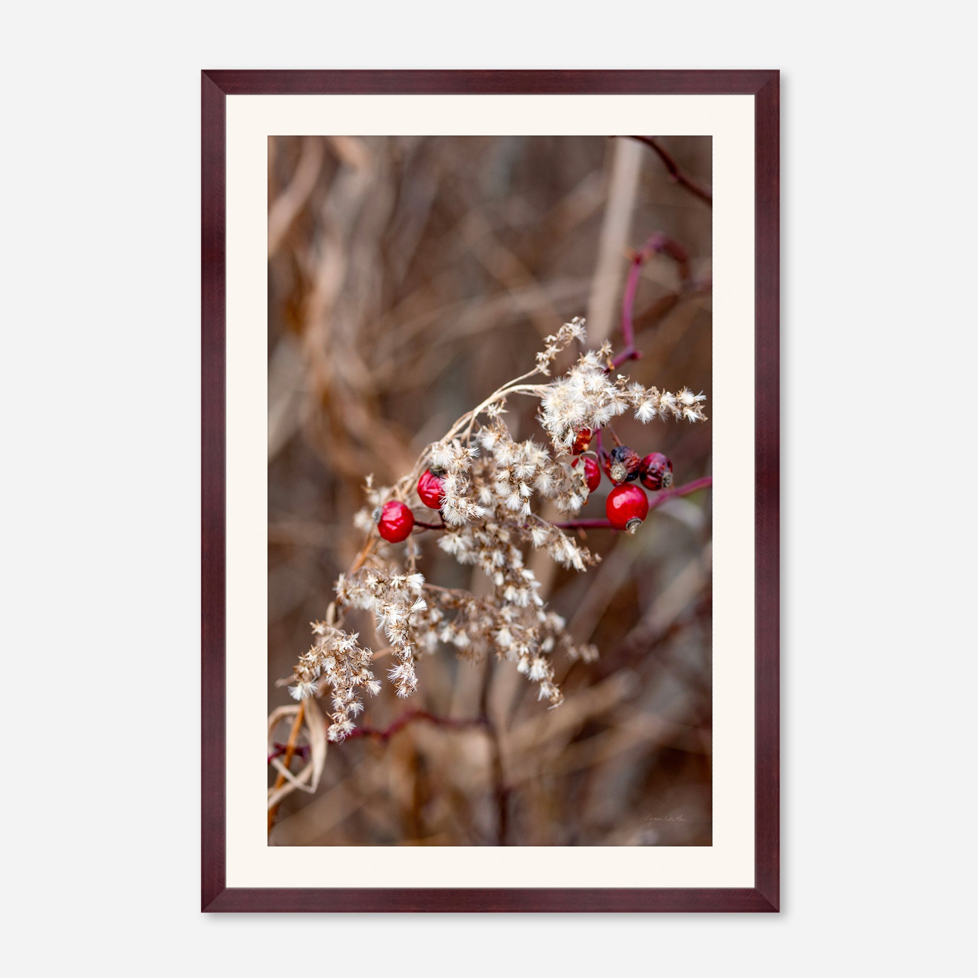 Late Fall no. 1