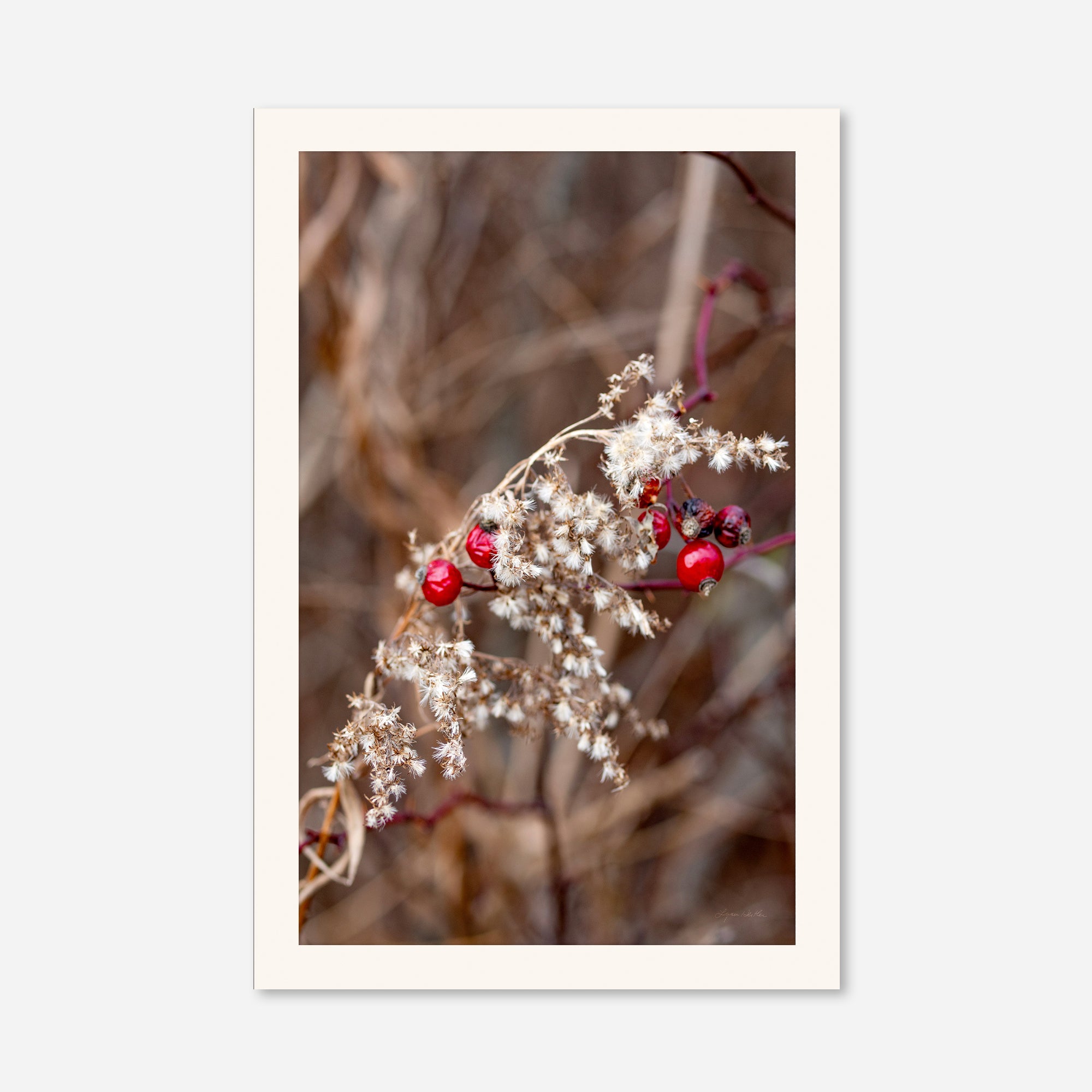 Late Fall no. 1