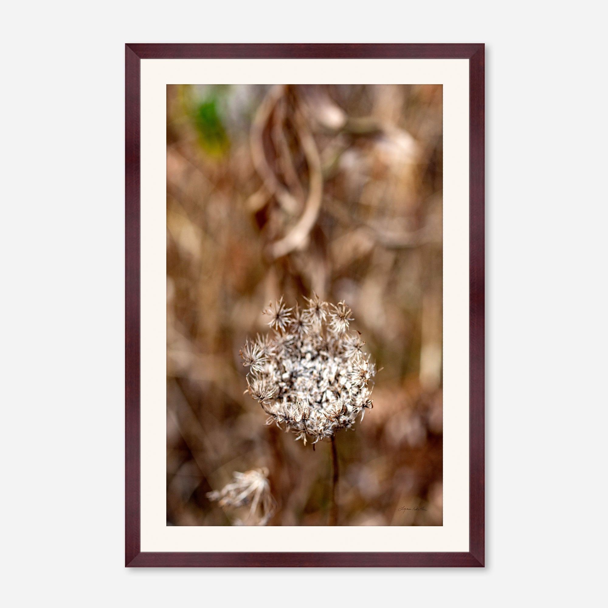 Late Fall no. 2