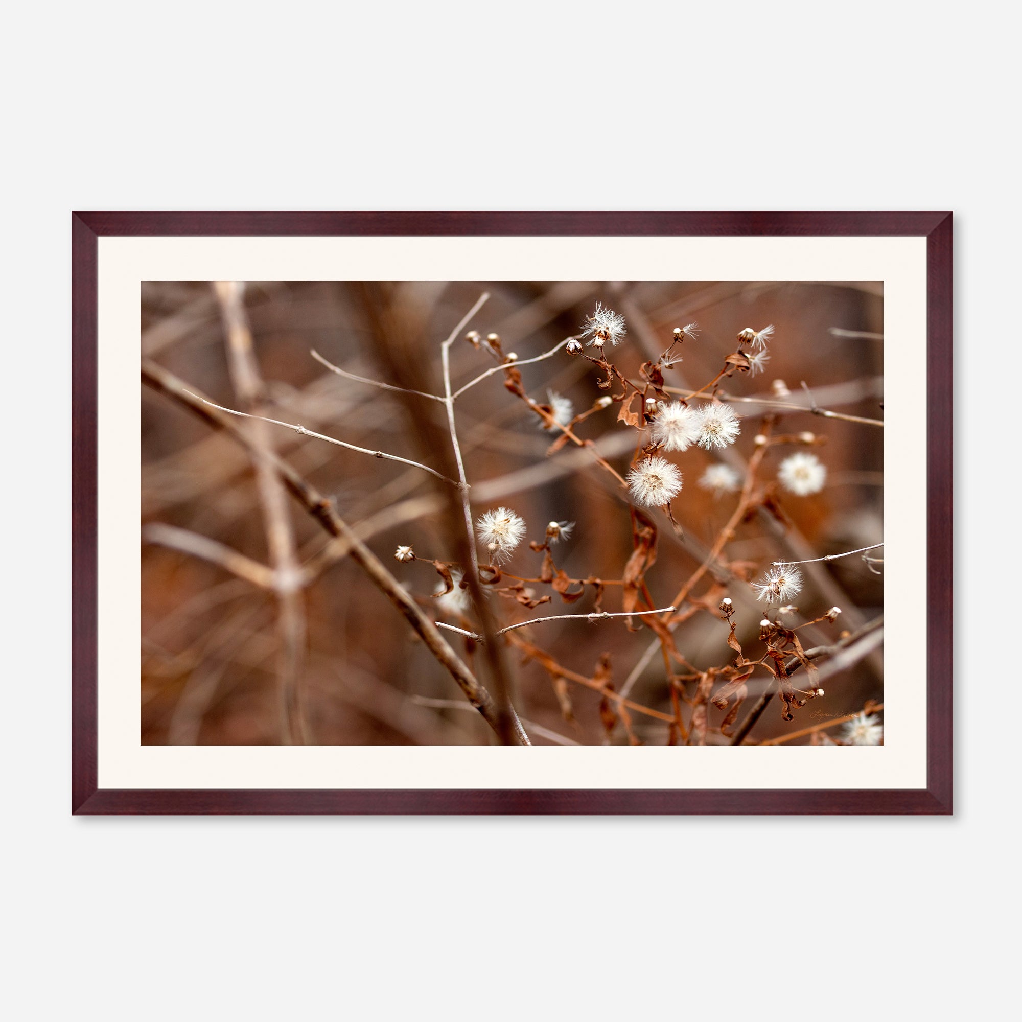 Late Fall no. 3