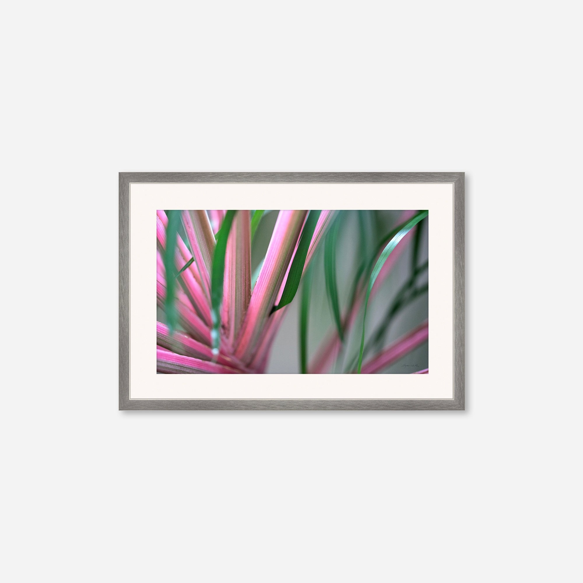 Leaves no. 9